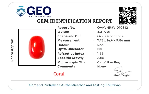 Red Coral (Italian) - 8.21 Carat