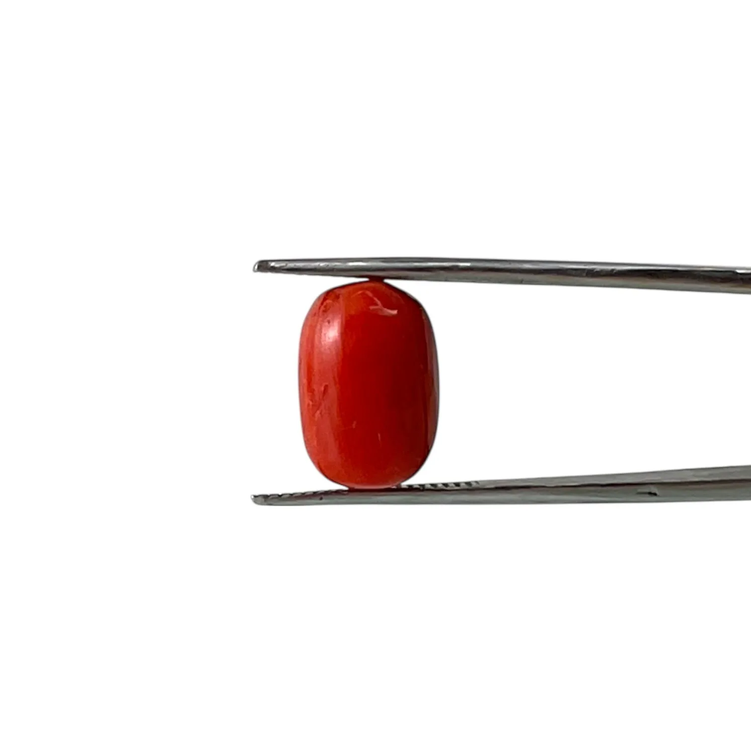 Red Coral (Italian) - 8.21 Carat