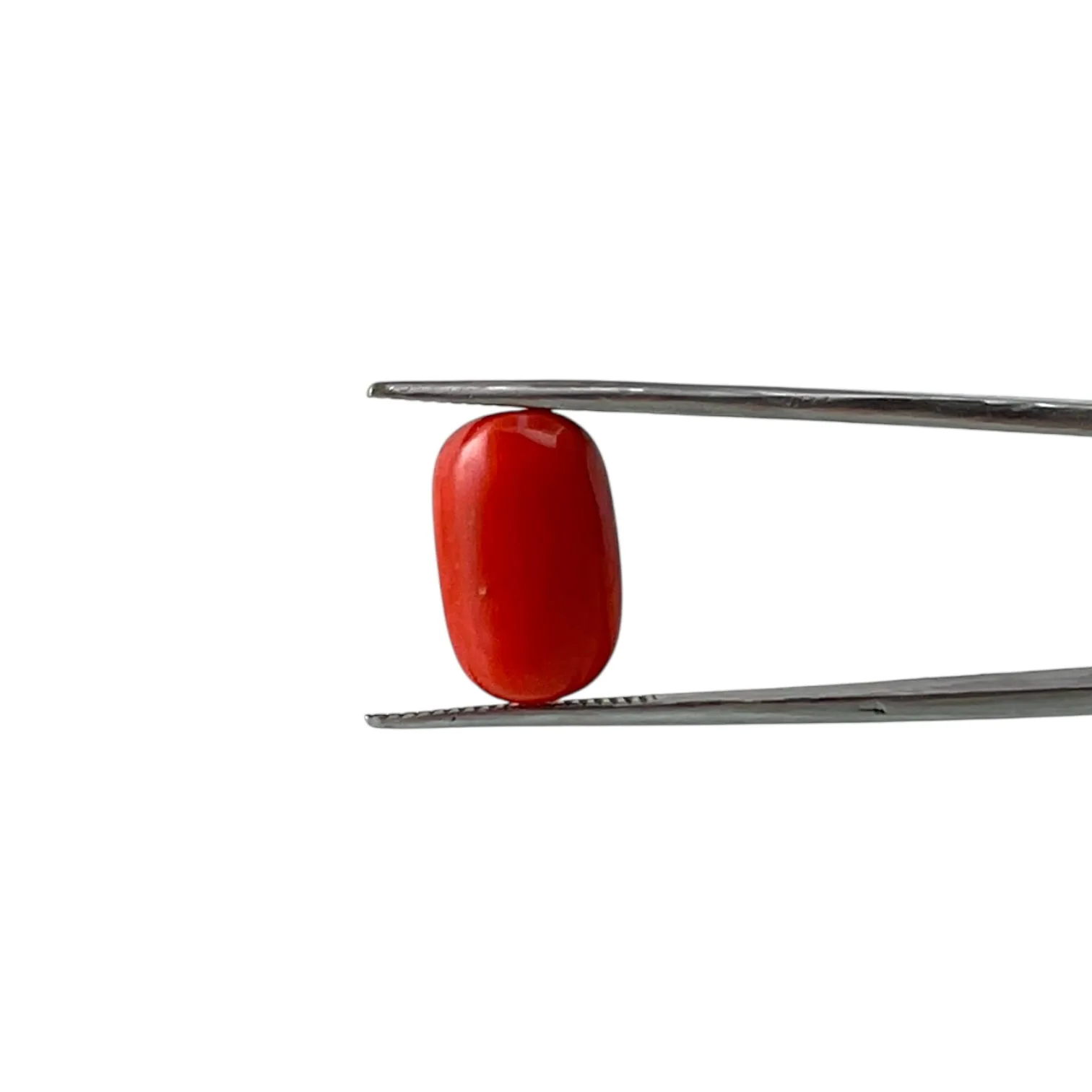 Red Coral (Italian) - 6.25 Carat