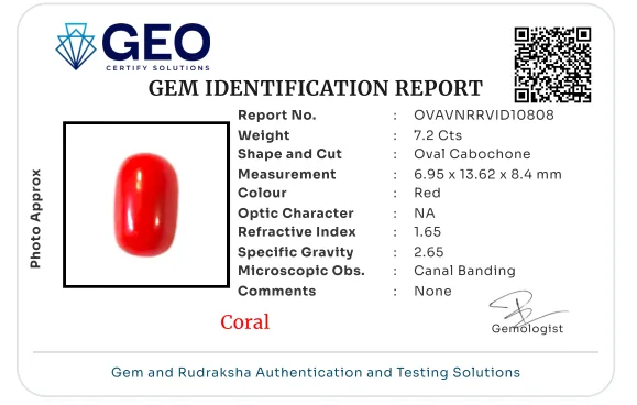 Red Coral (Italian) - 7.2 Carat