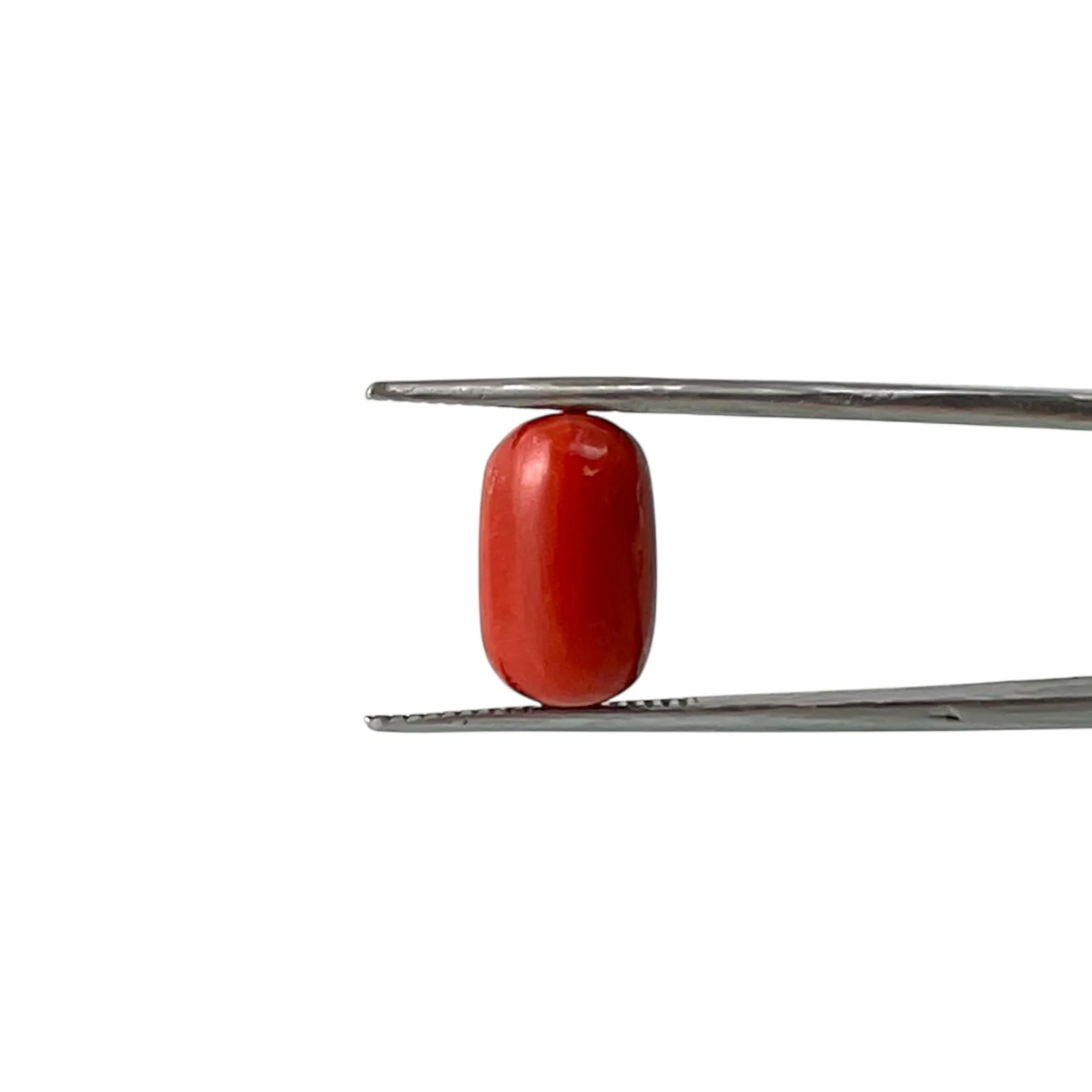 Red Coral (Italian) - 7.2 Carat