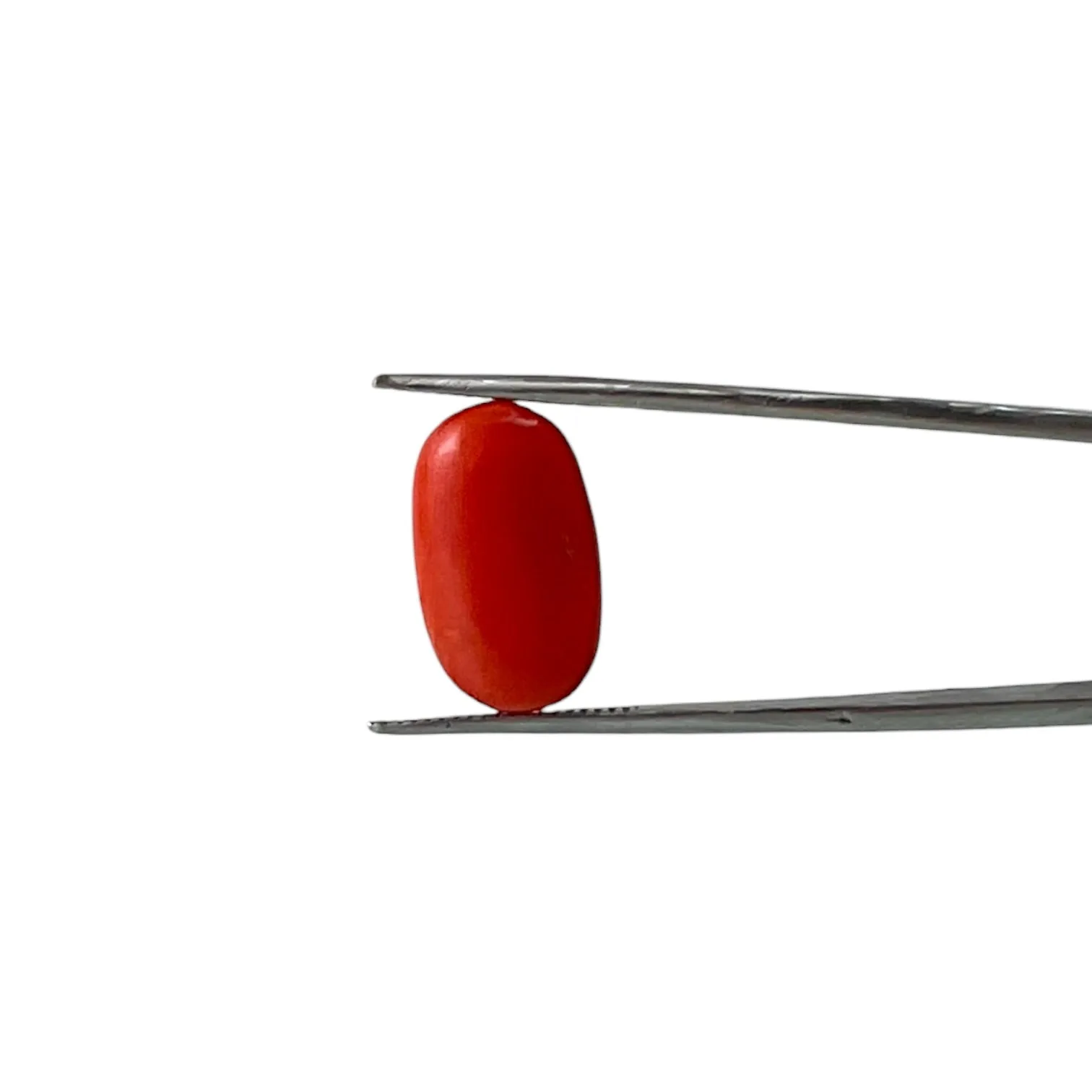 Red Coral (Italian) - 5.44 Carat