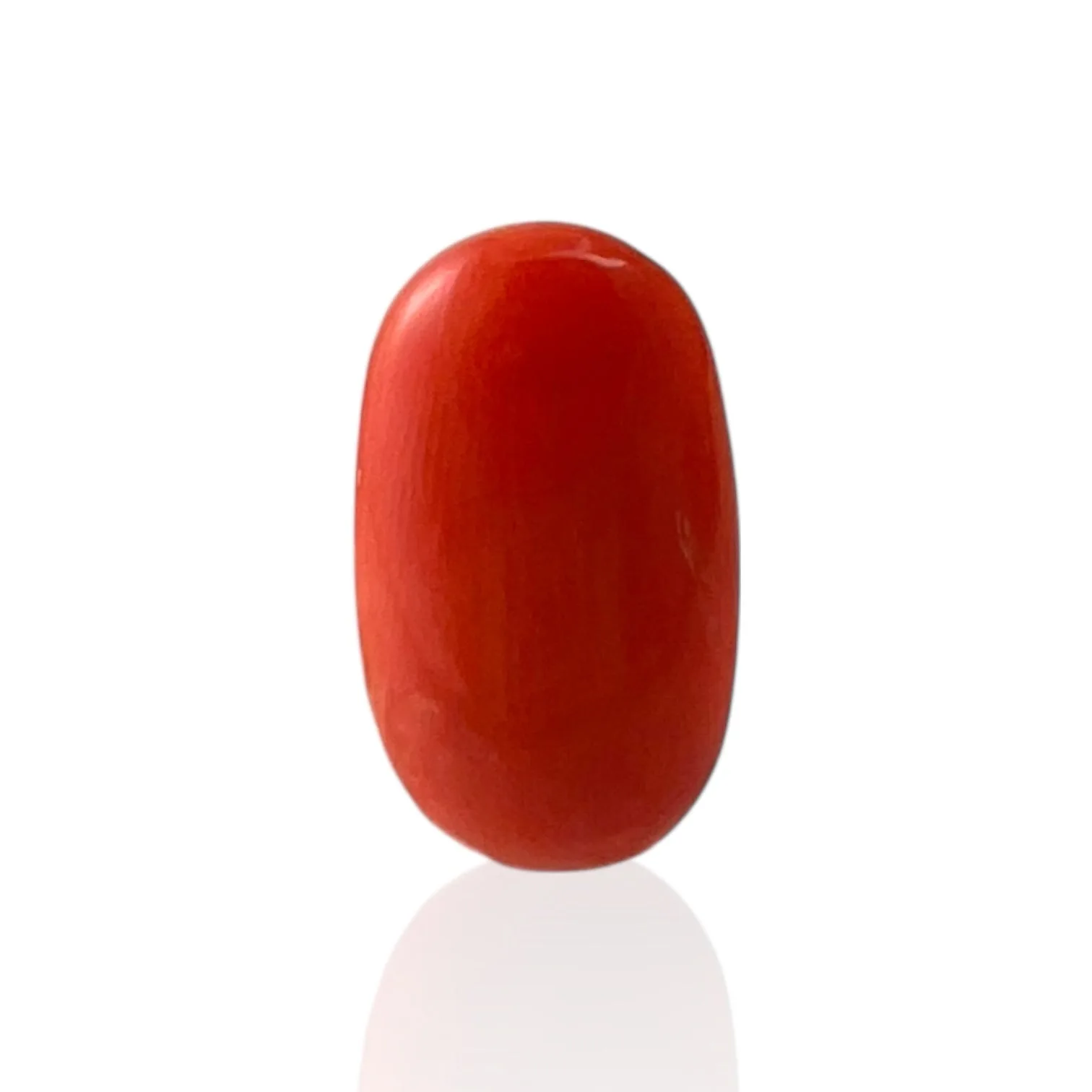 Red Coral (Italian) - 5.44 Carat