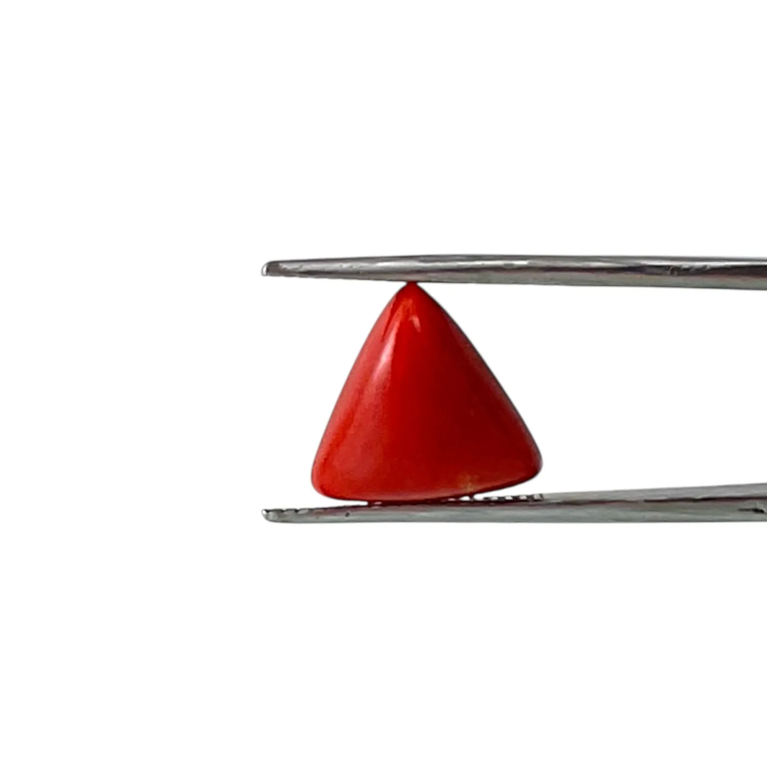 Red Coral (Italian) - 5.49 Carat