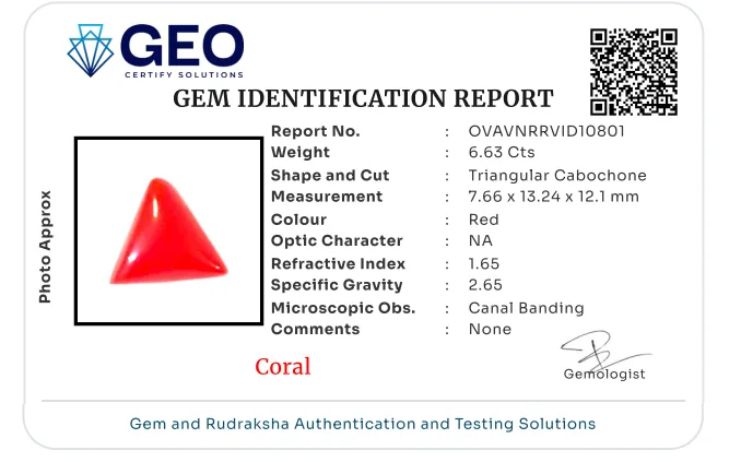 Red Coral (Italian) - 6.63 Carat
