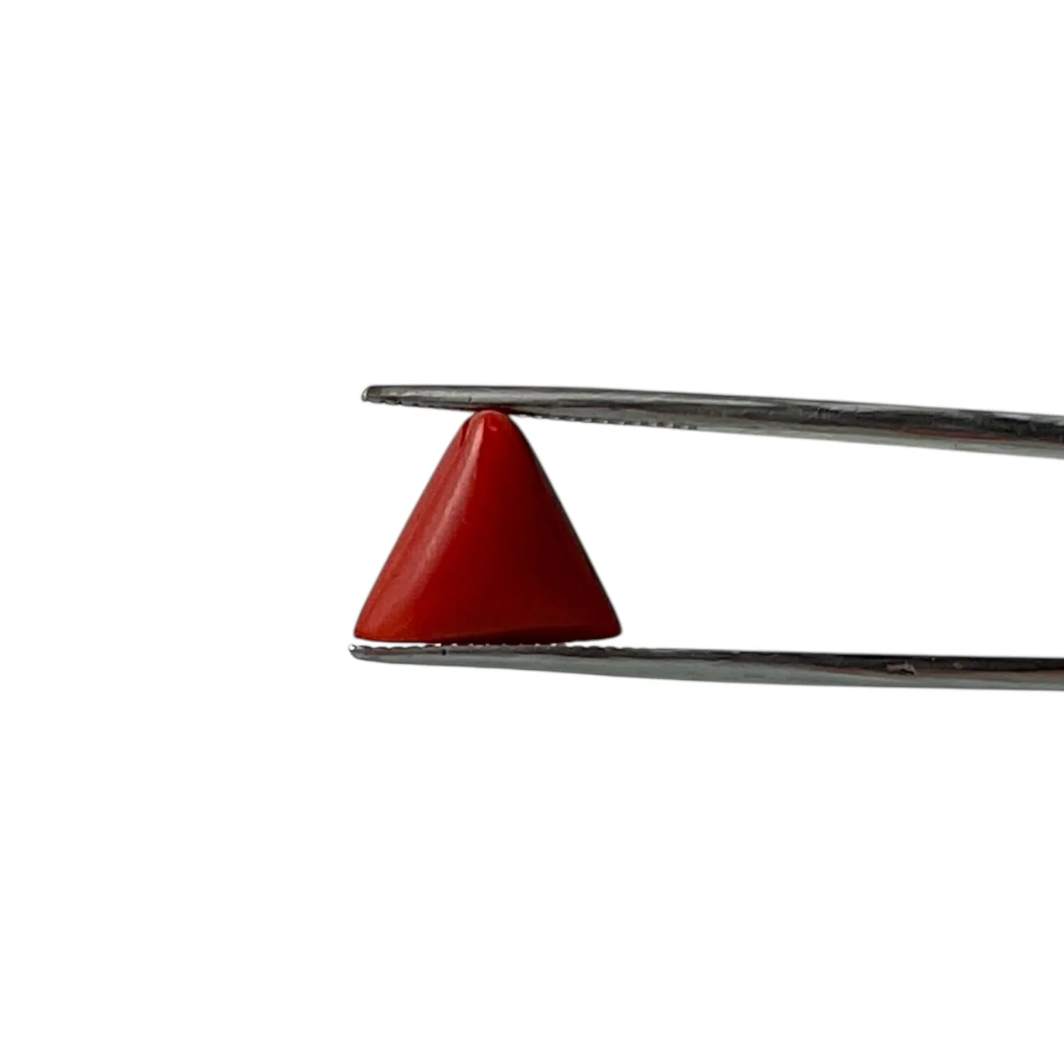 Red Coral (Italian) - 6.63 Carat