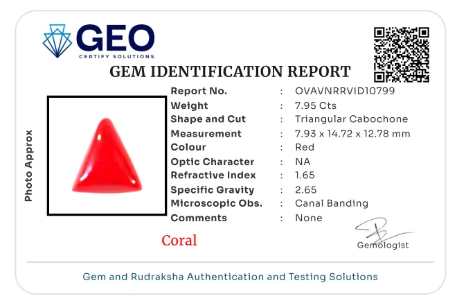 Red Coral (Italian) - 7.95 Carat
