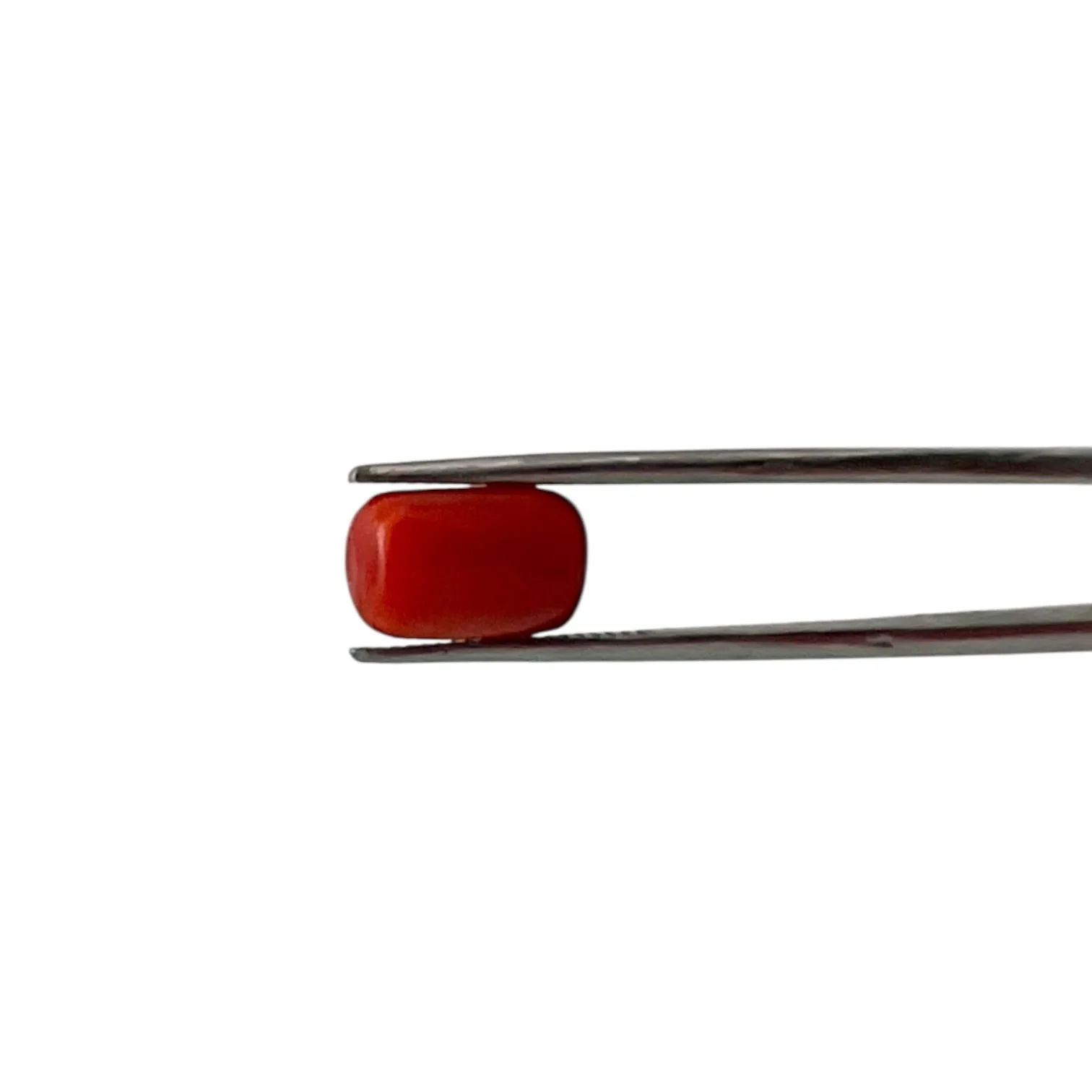 Red Coral (Italian) - 5.15 Carat