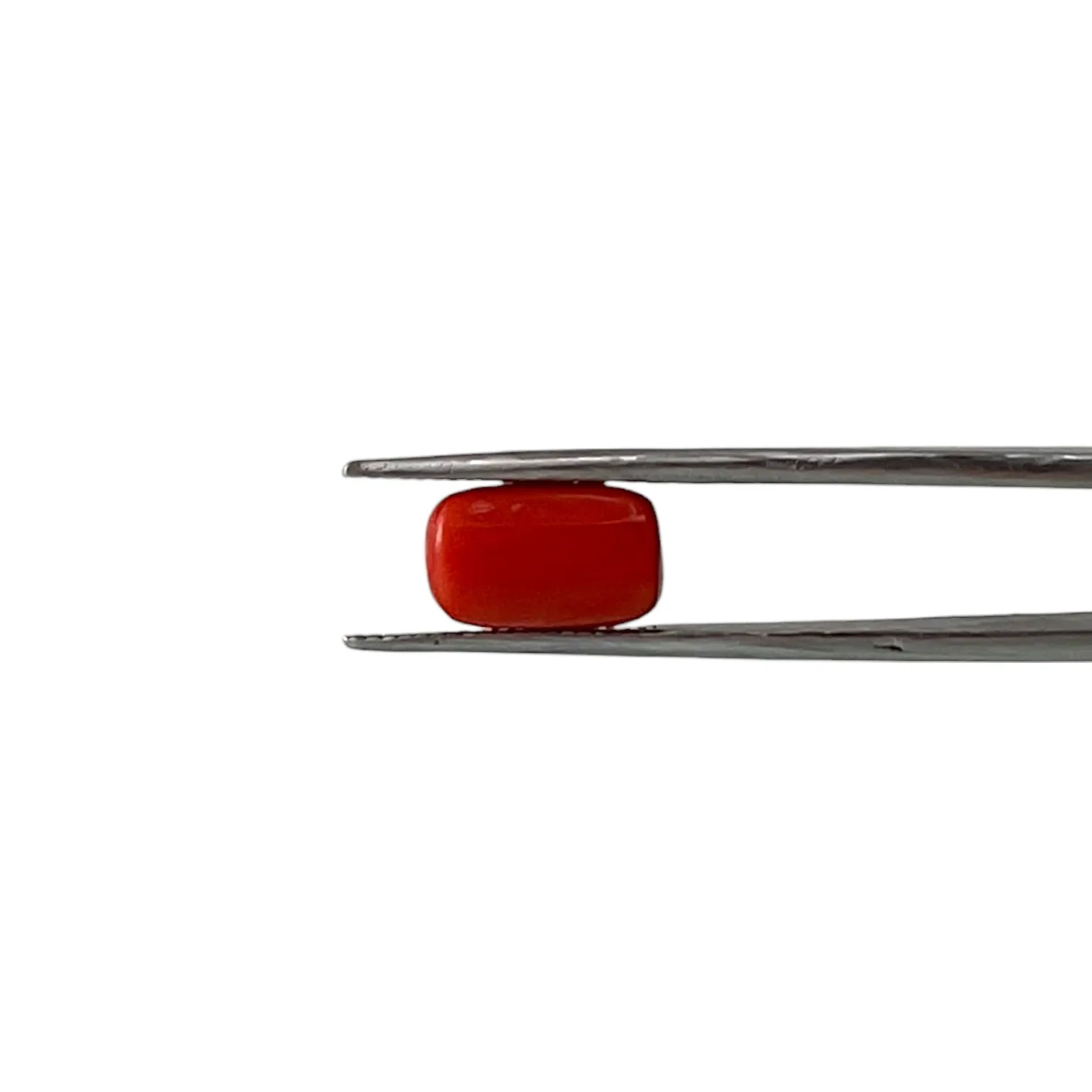 Red Coral (Italian) - 4.93 Carat