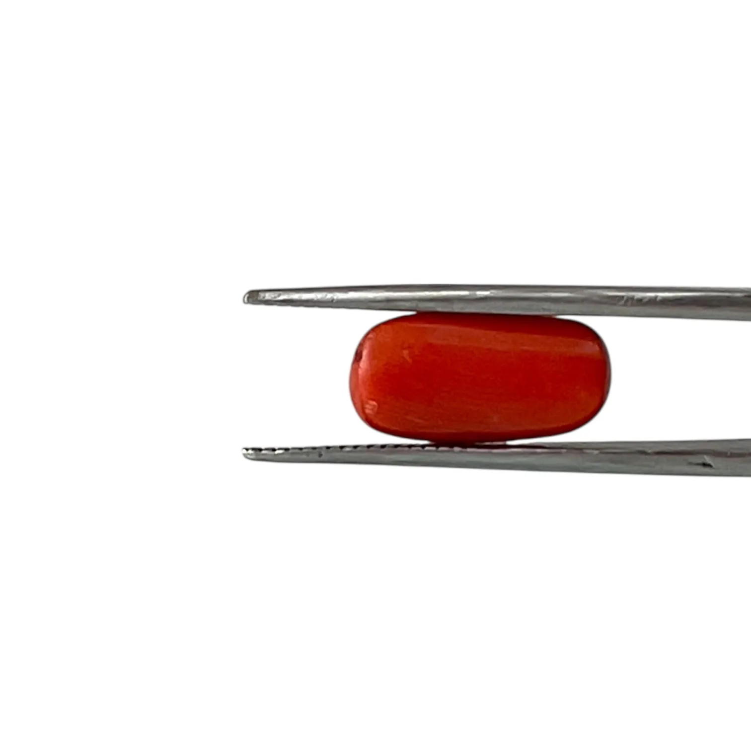 Red Coral (Italian) - 6.09 Carat