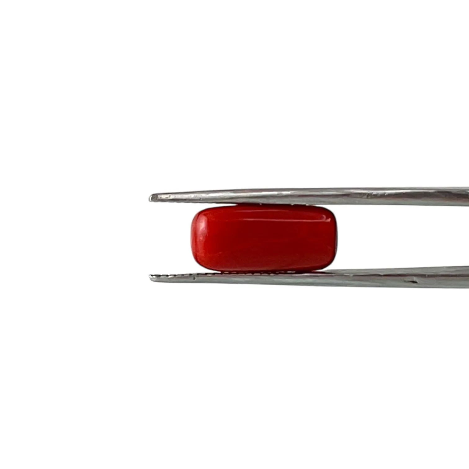 Red Coral (Italian) - 5.17 Carat