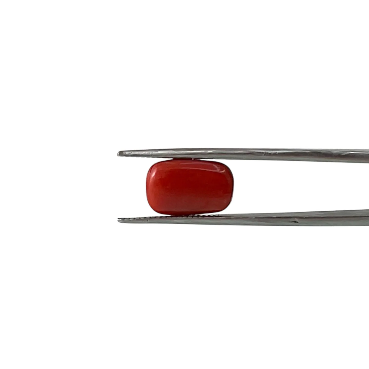 Red Coral (Italian) - 7.61 Carat