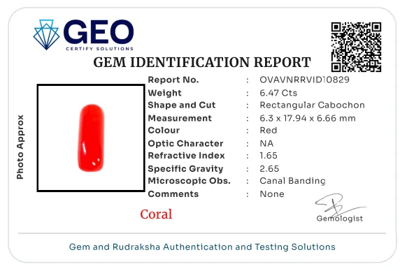 Red Coral (Italian) - 6.47 Carat