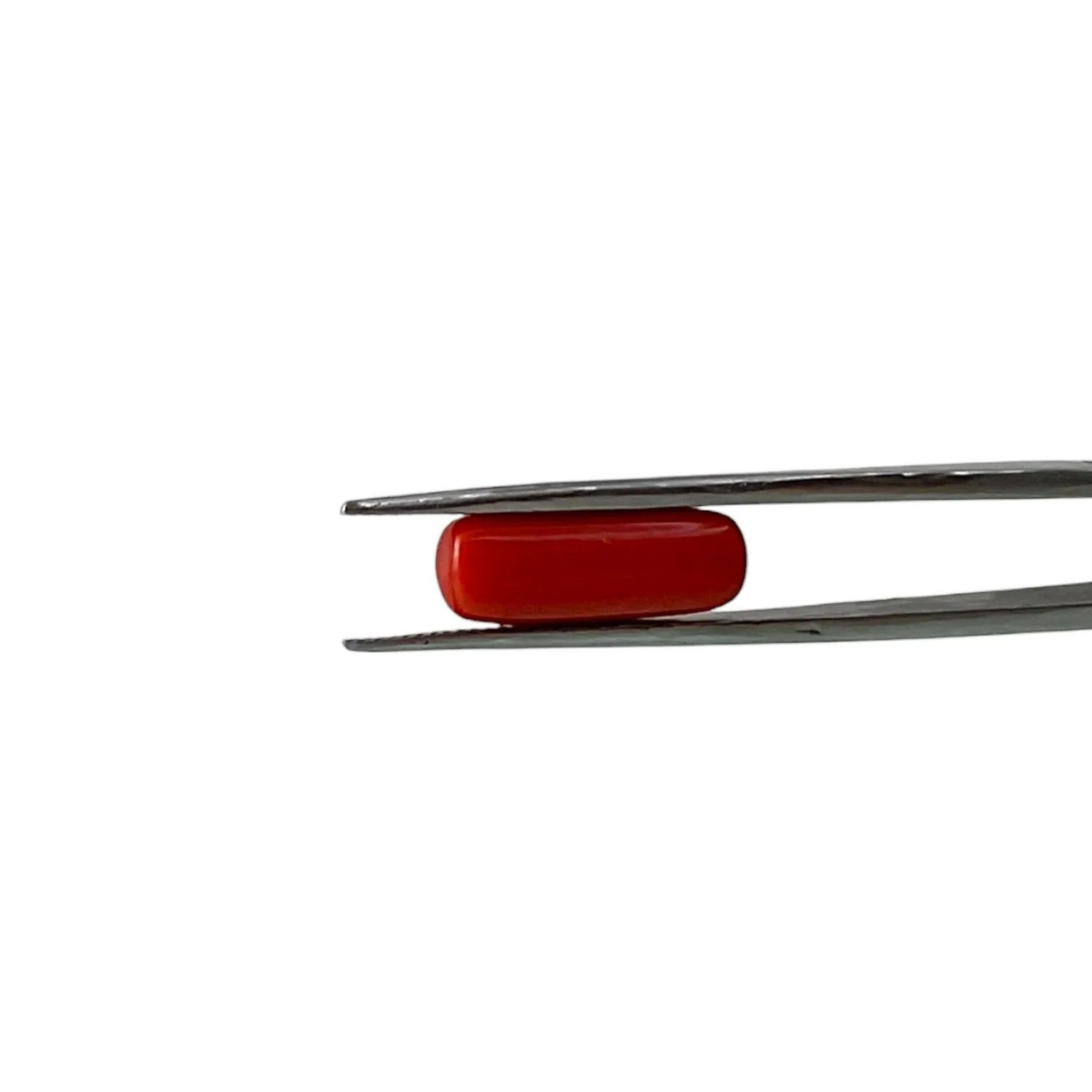 Red Coral (Italian) - 6.47 Carat