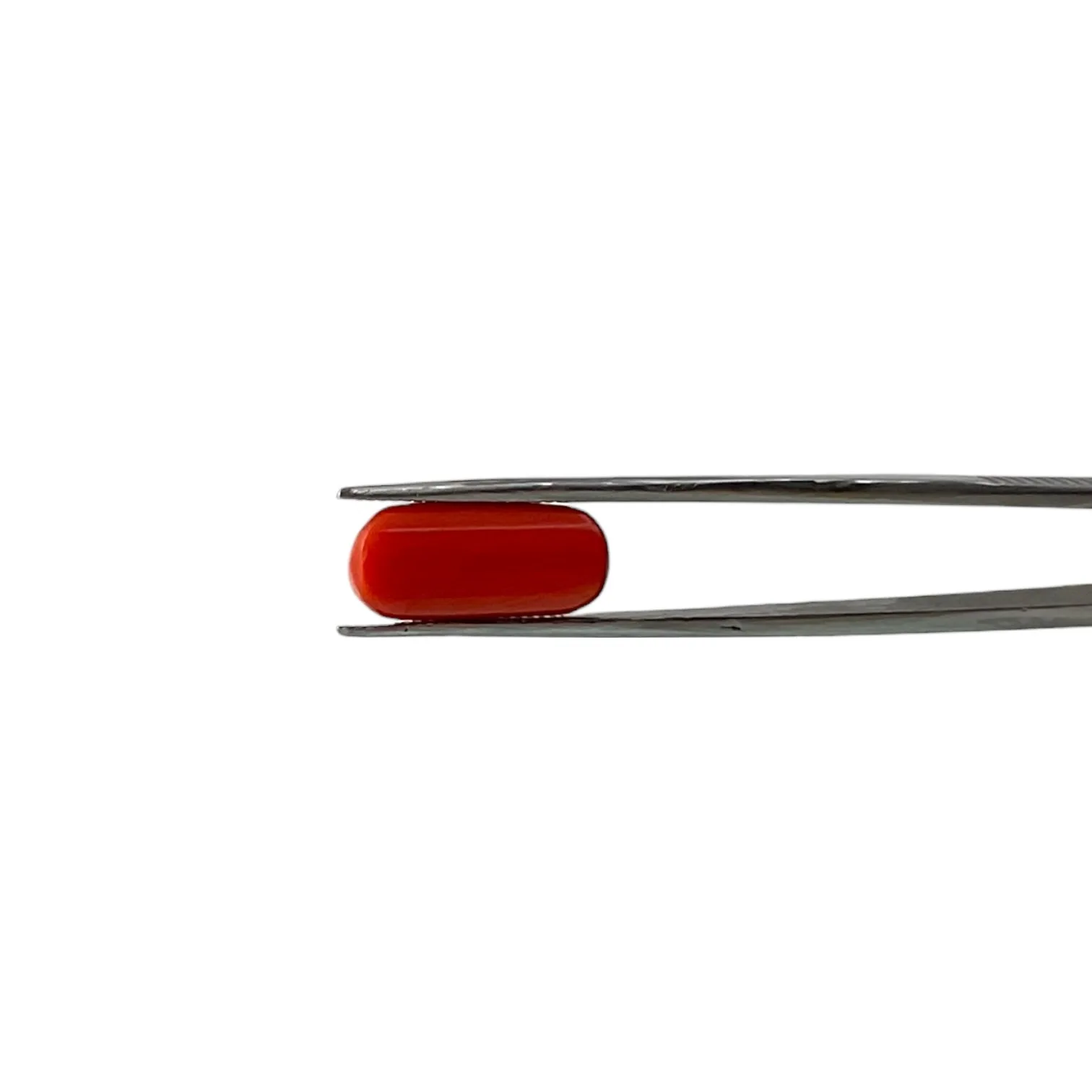 Red Coral (Italian) - 8.1 Carat