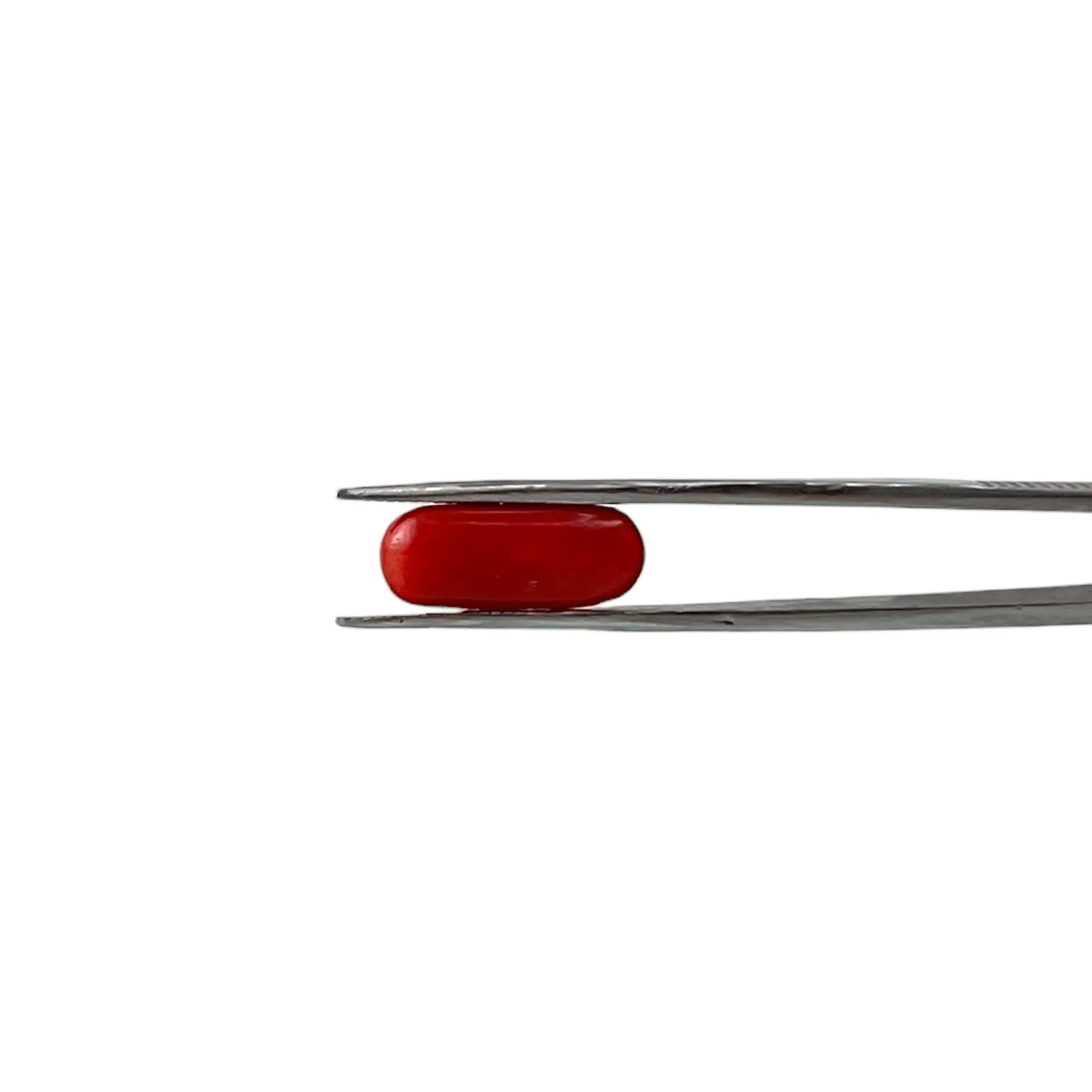 Red Coral (Italian) - 6.41 Carat