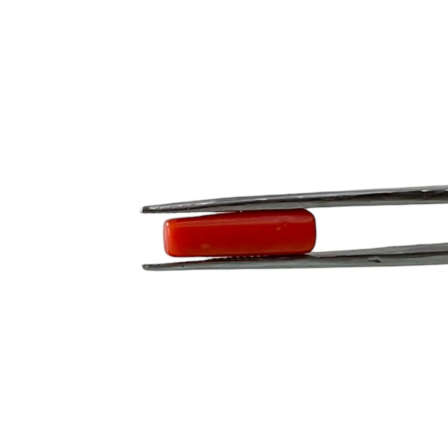Red Coral (Italian) - 5.31 Carat