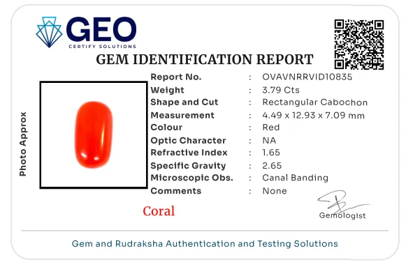 Red Coral (Italian) - 3.79 Carat