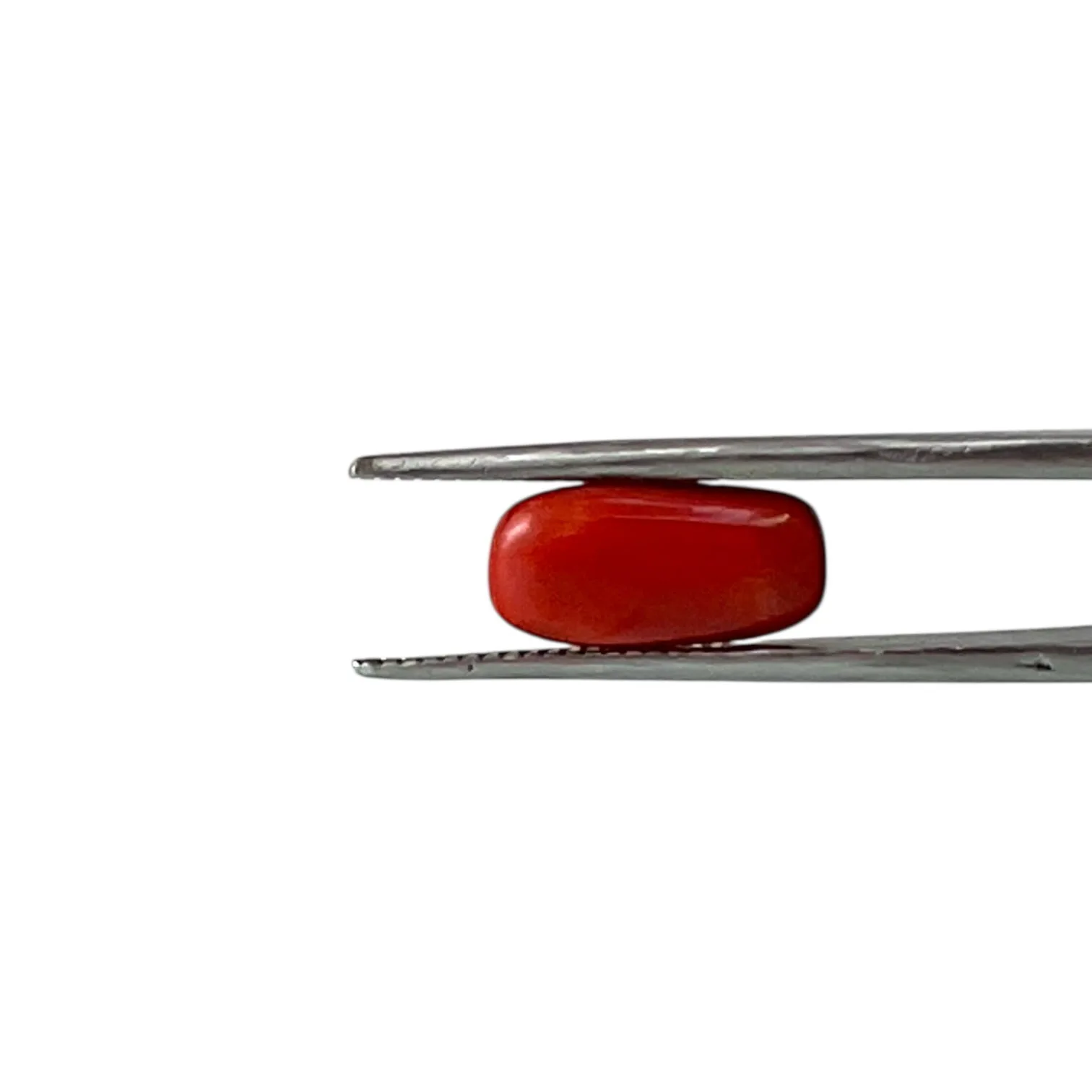 Red Coral (Italian) - 4.5 Carat