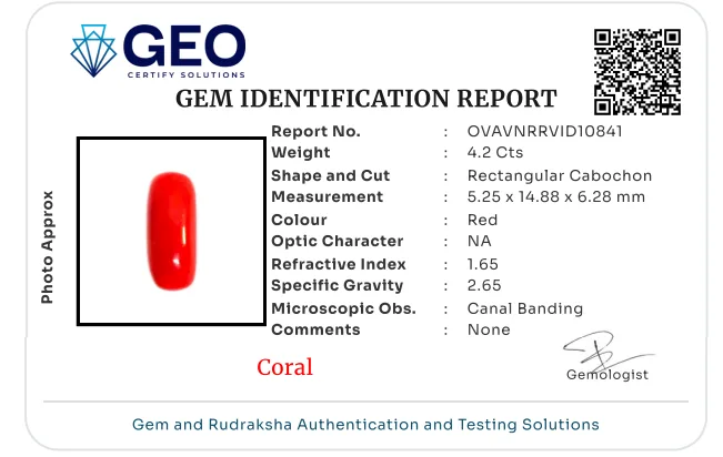 Red Coral (Italian) - 4.2 Carat