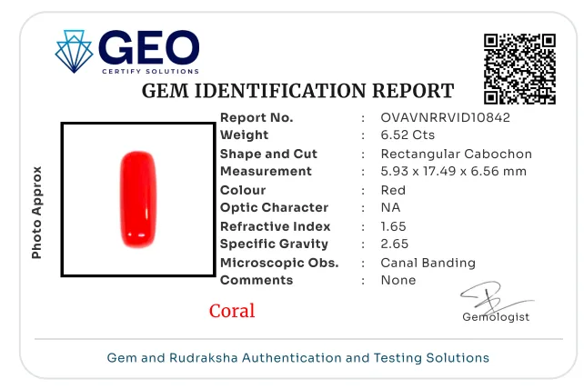 Red Coral (Italian) - 6.52 Carat
