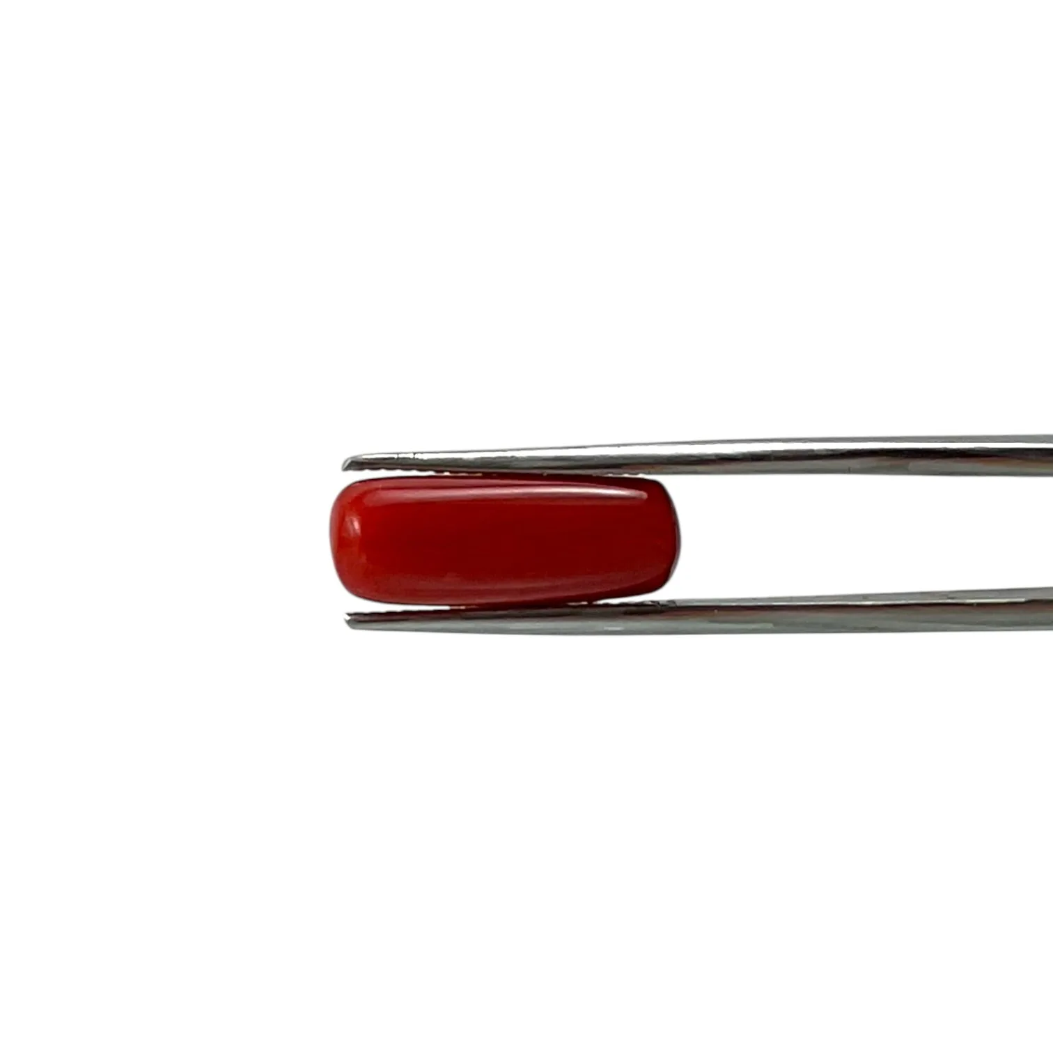 Red Coral (Italian) - 6.52 Carat