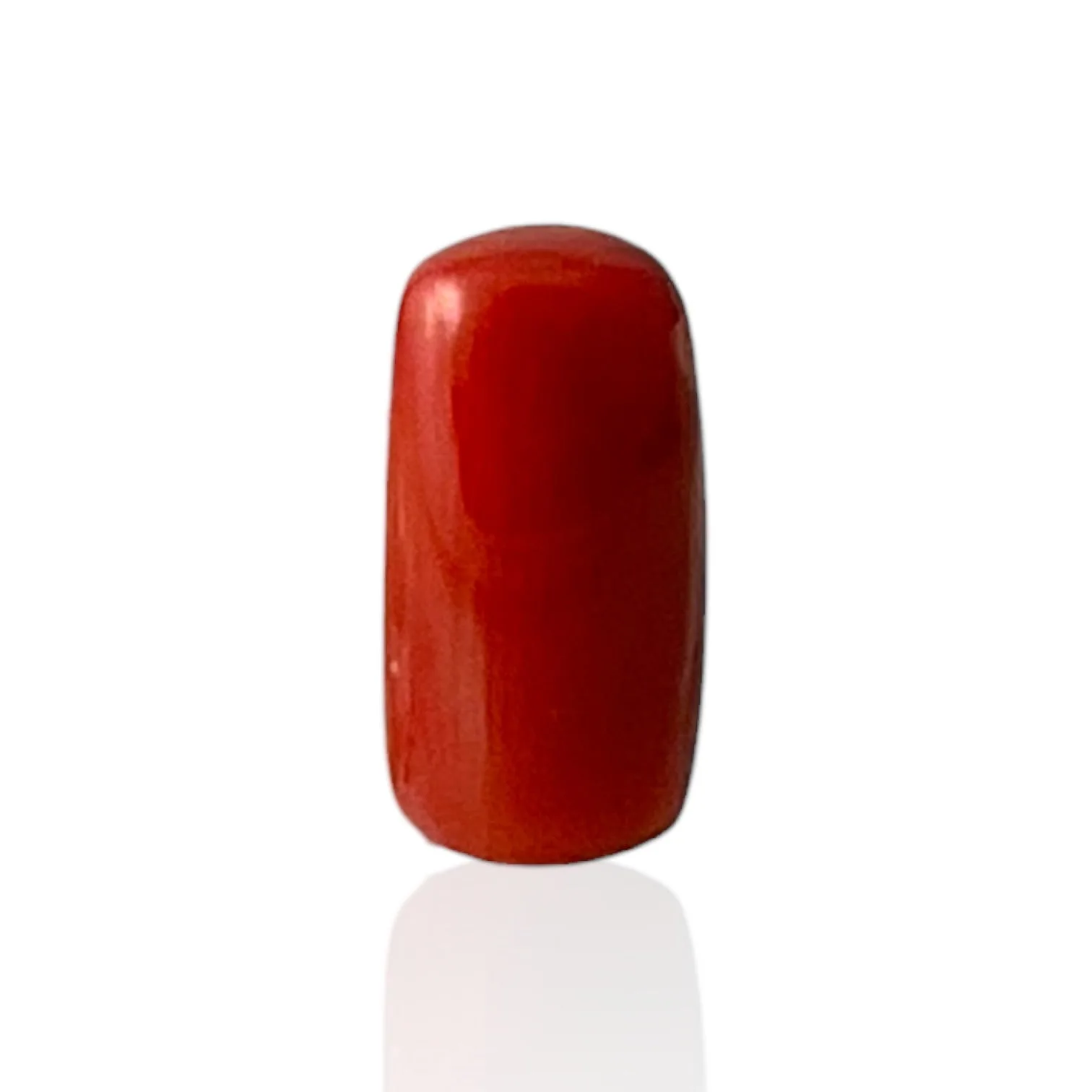 Red Coral (Italian) - 4.5 Carat