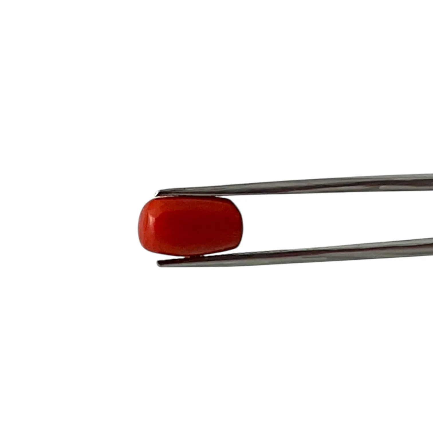 Red Coral (Italian) - 7.16 Carat