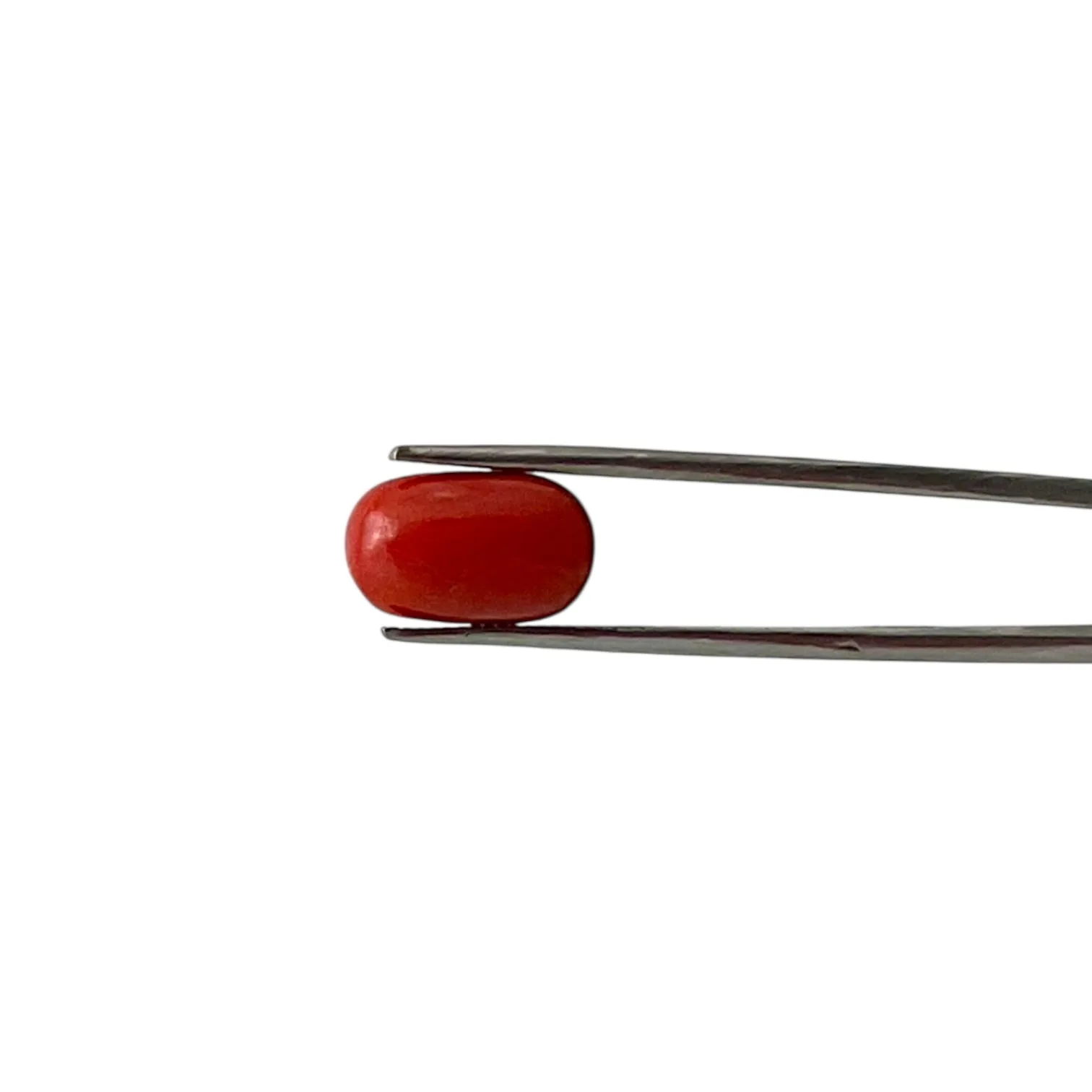 Red Coral (Italian) - 7.22 Carat