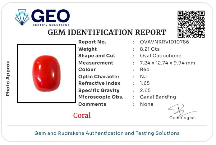 Red Coral (Italian) - 8.21 Carat