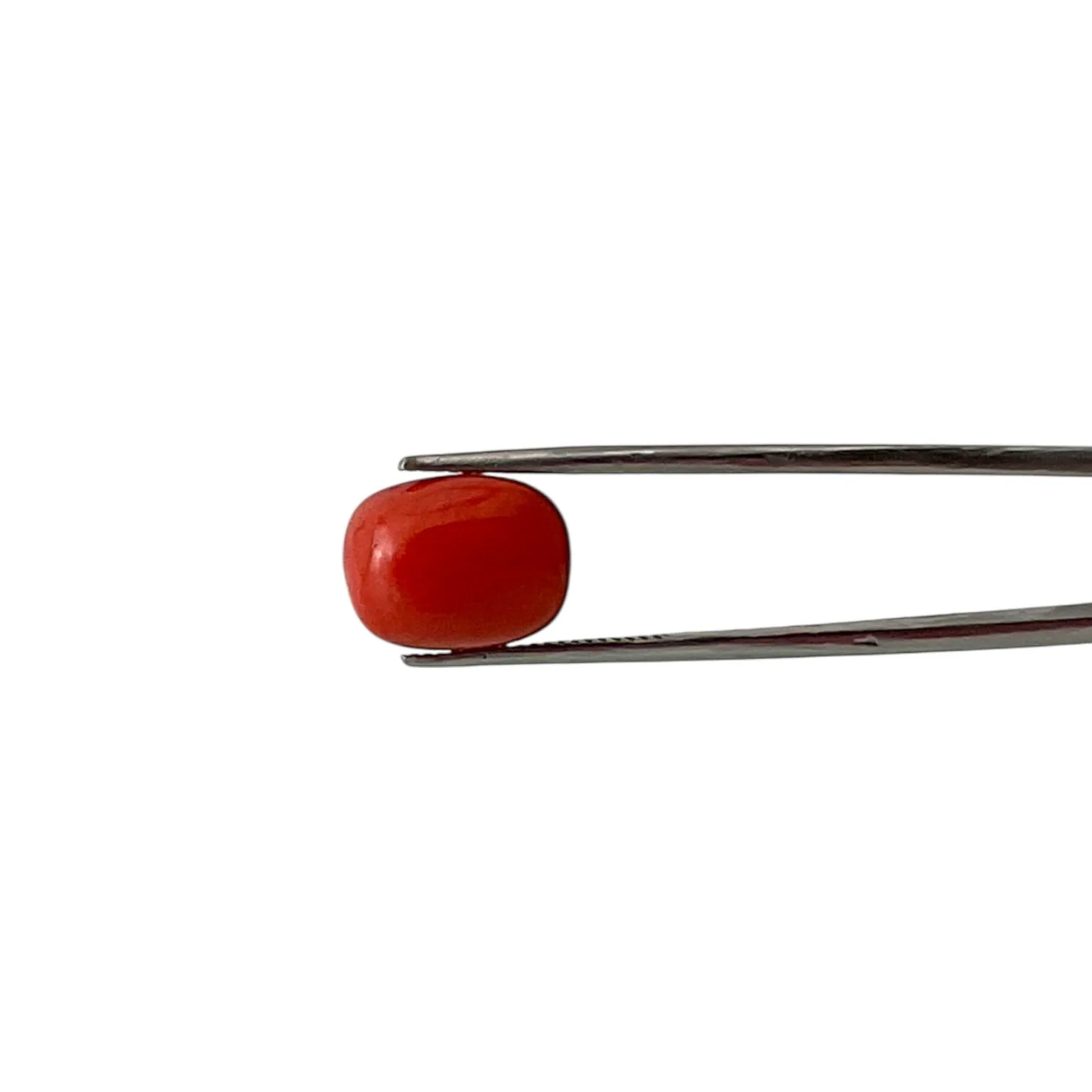 Red Coral (Italian) - 8.21 Carat