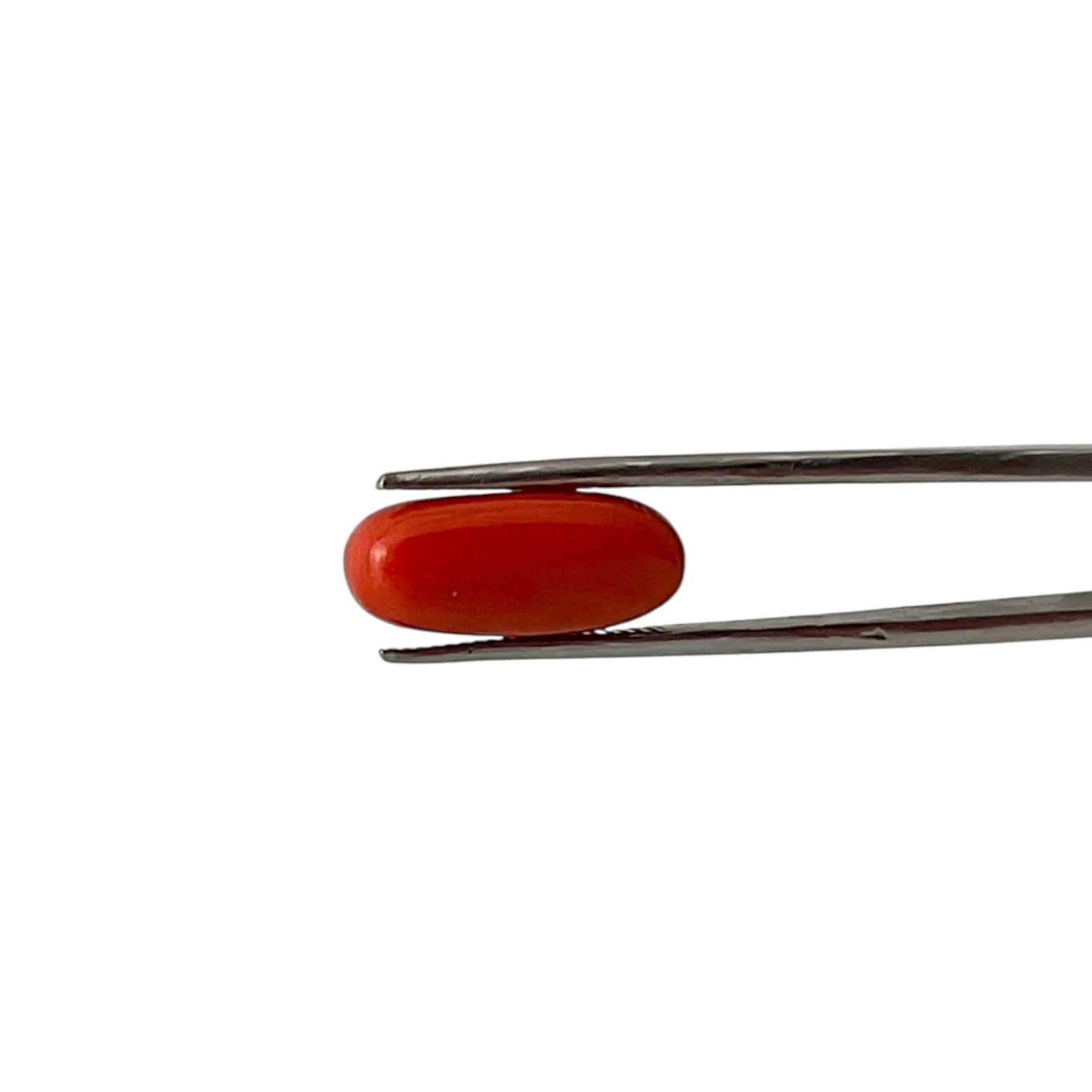 Red Coral (Italian) - 7.95 Carat
