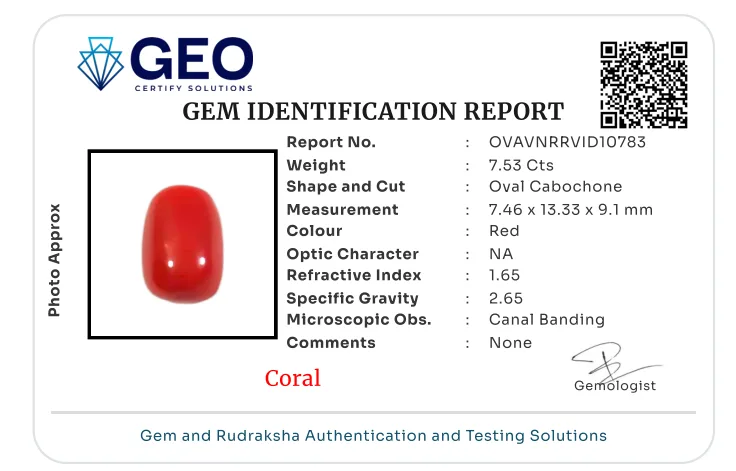 Red Coral (Italian) - 7.53 Carat