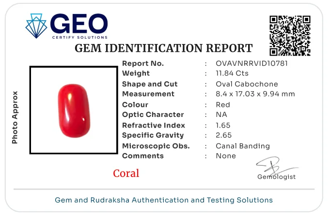 Red Coral (Italian) - 11.84 Carat