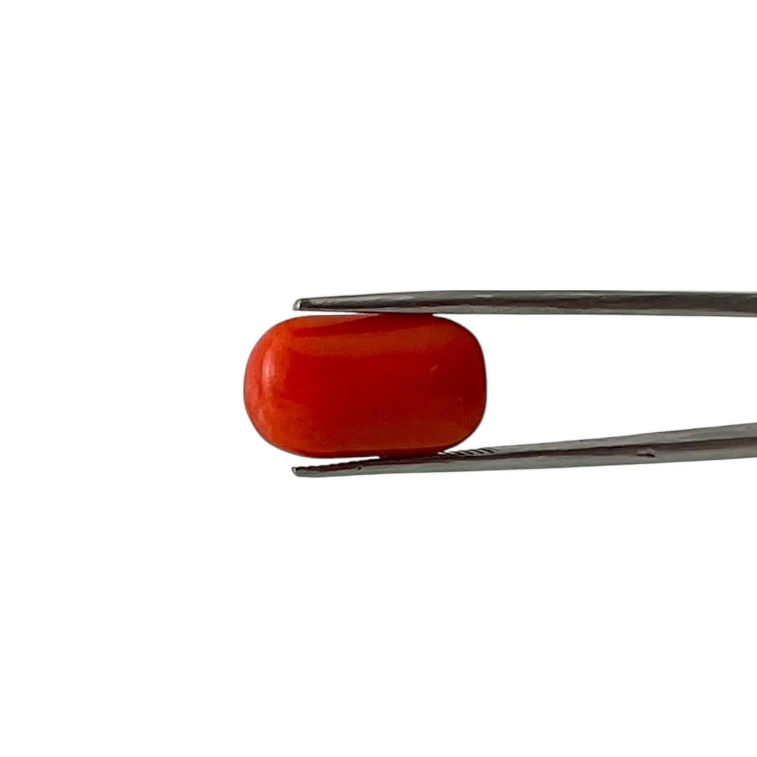 Red Coral (Italian) - 11.84 Carat