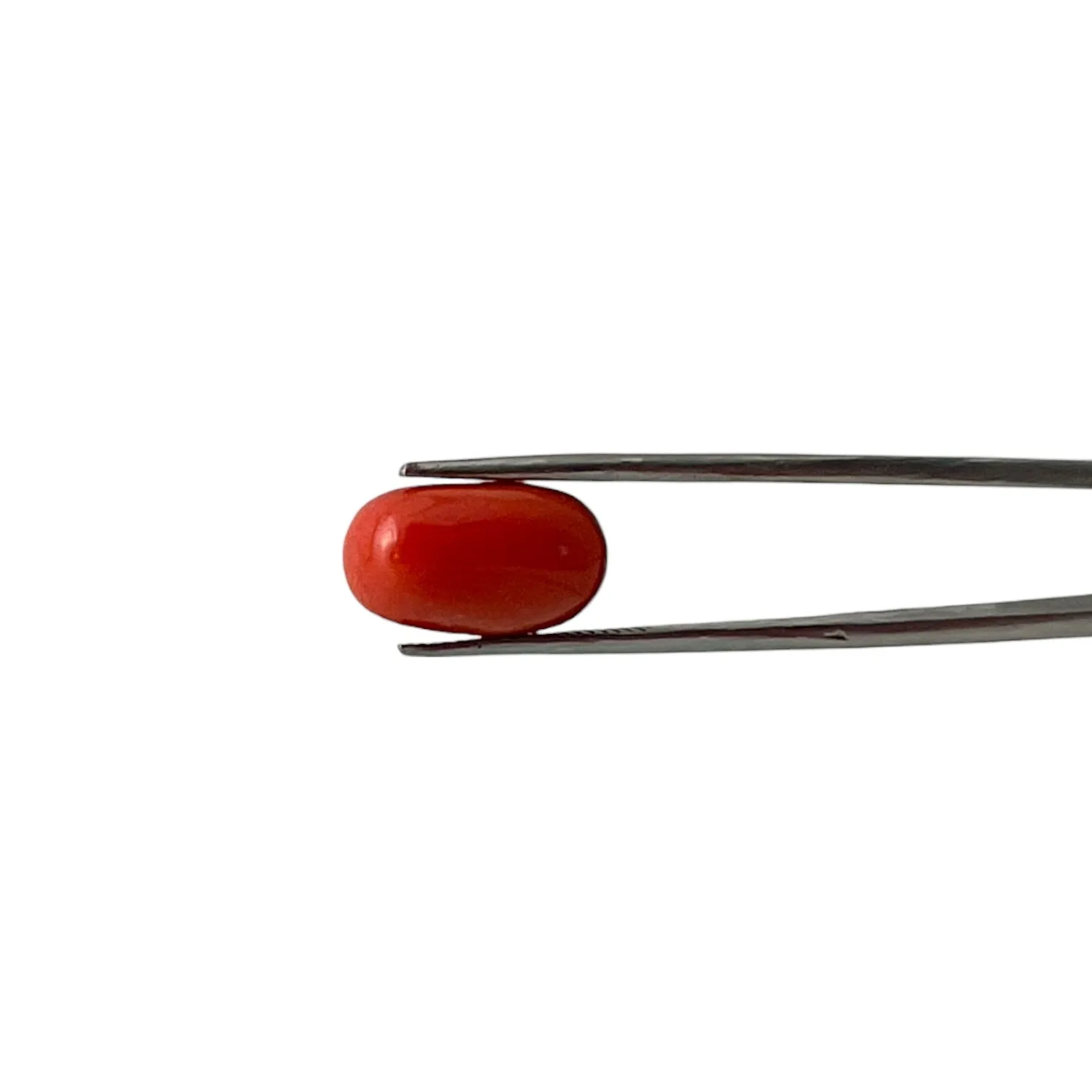 Red Coral (Italian) - 8.64 Carat