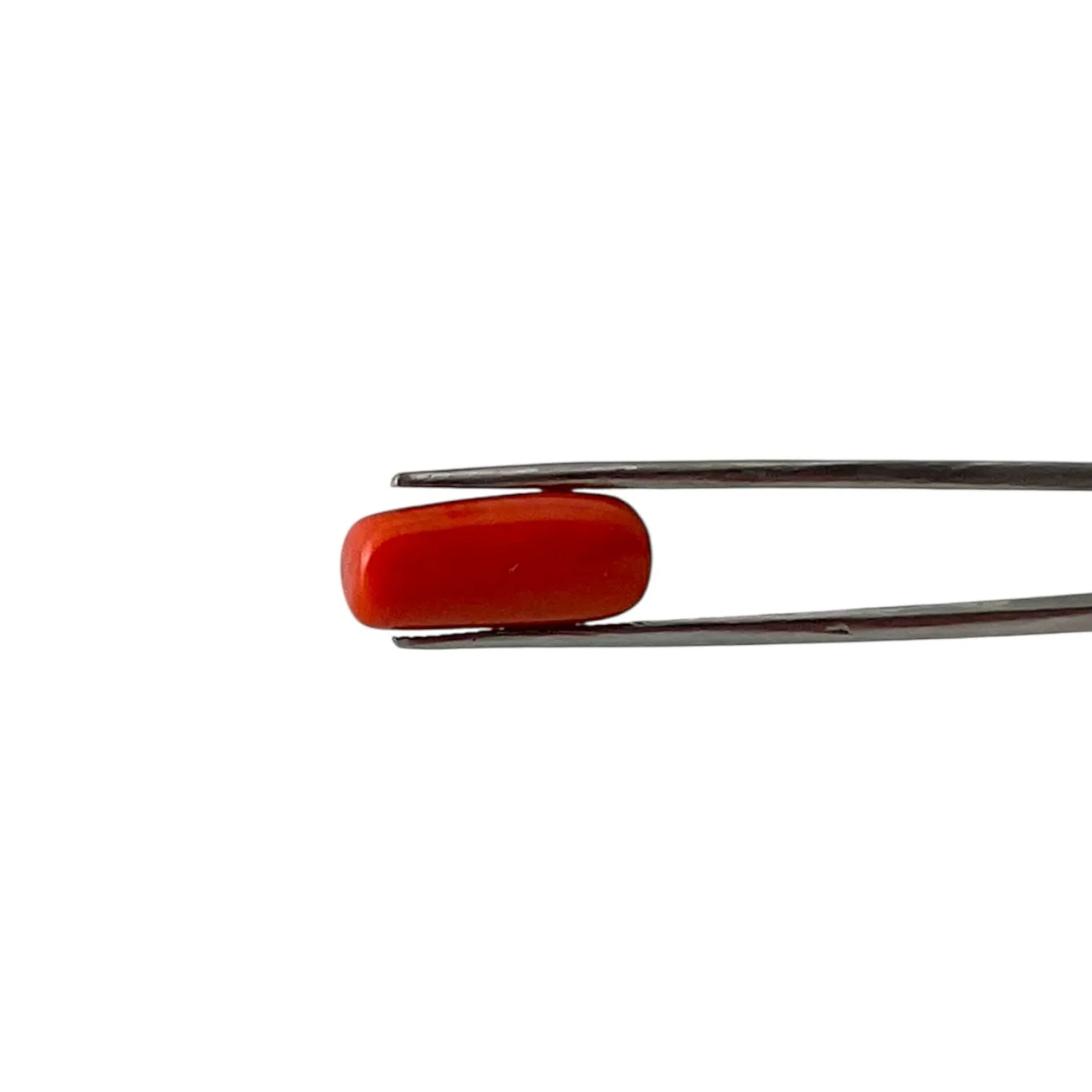 Red Coral (Italian) - 9.11 Carat