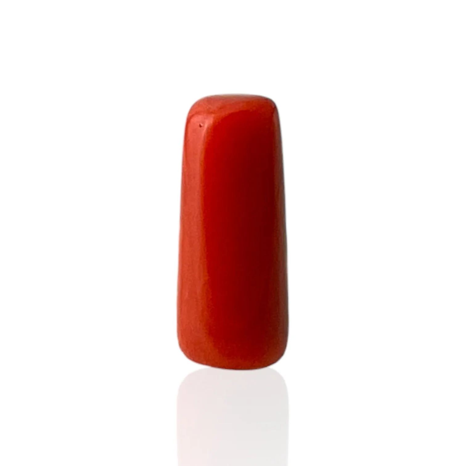 Red Coral (Italian) - 9.11 Carat