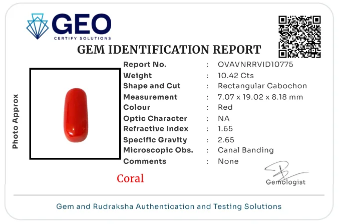 Red Coral (Italian) - 10.42 Carat