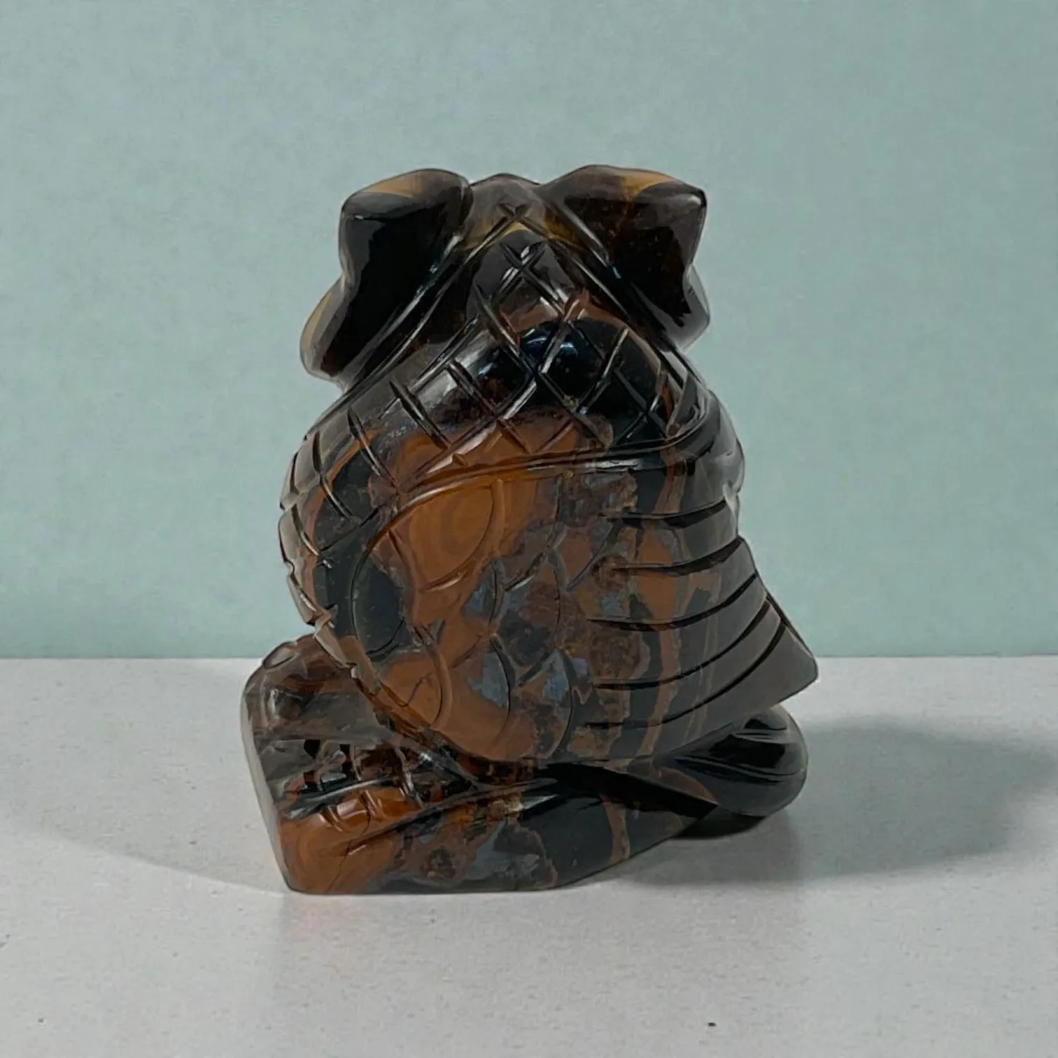 Tiger Eye Owl
