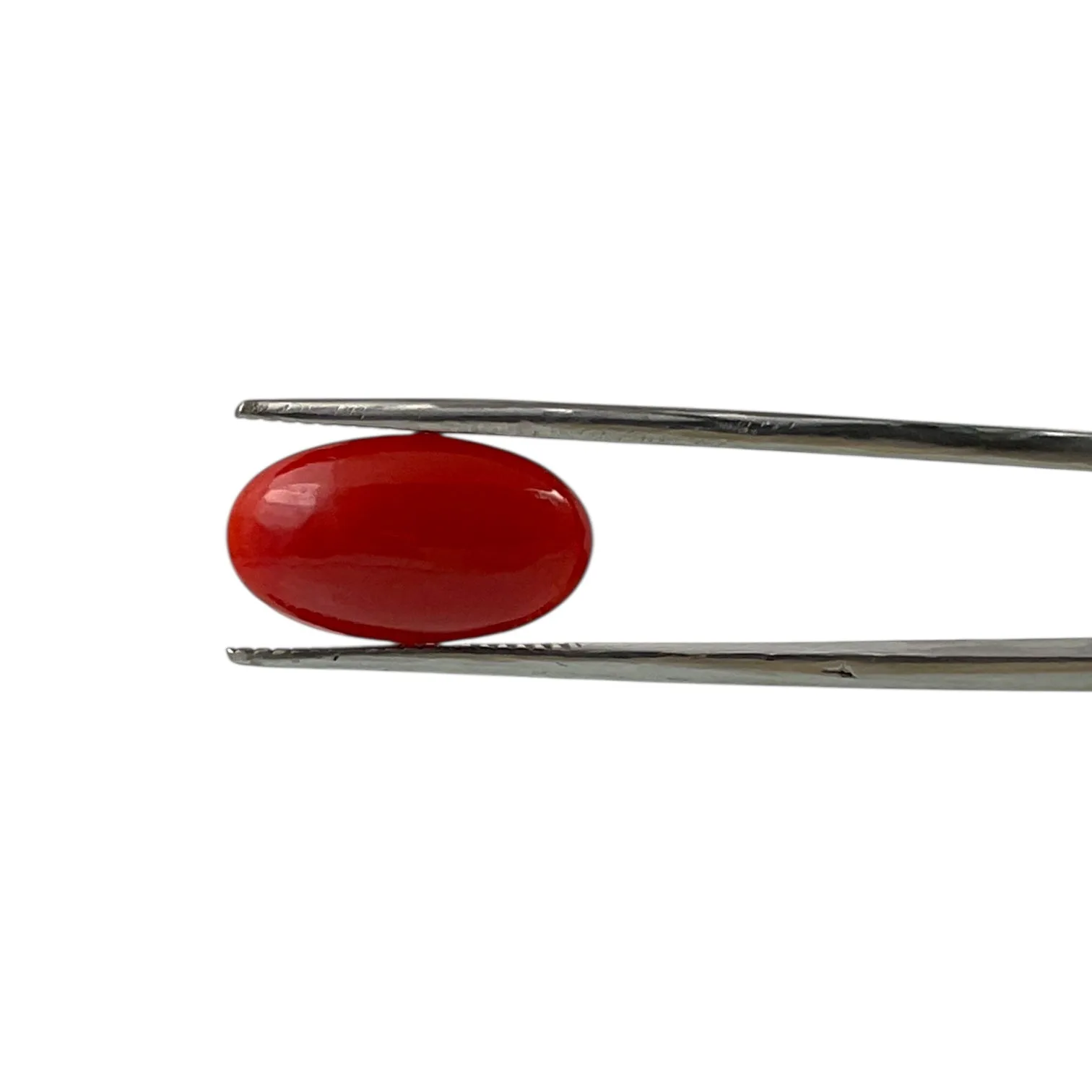 Red Coral (Japanese) - 4.9 Carat