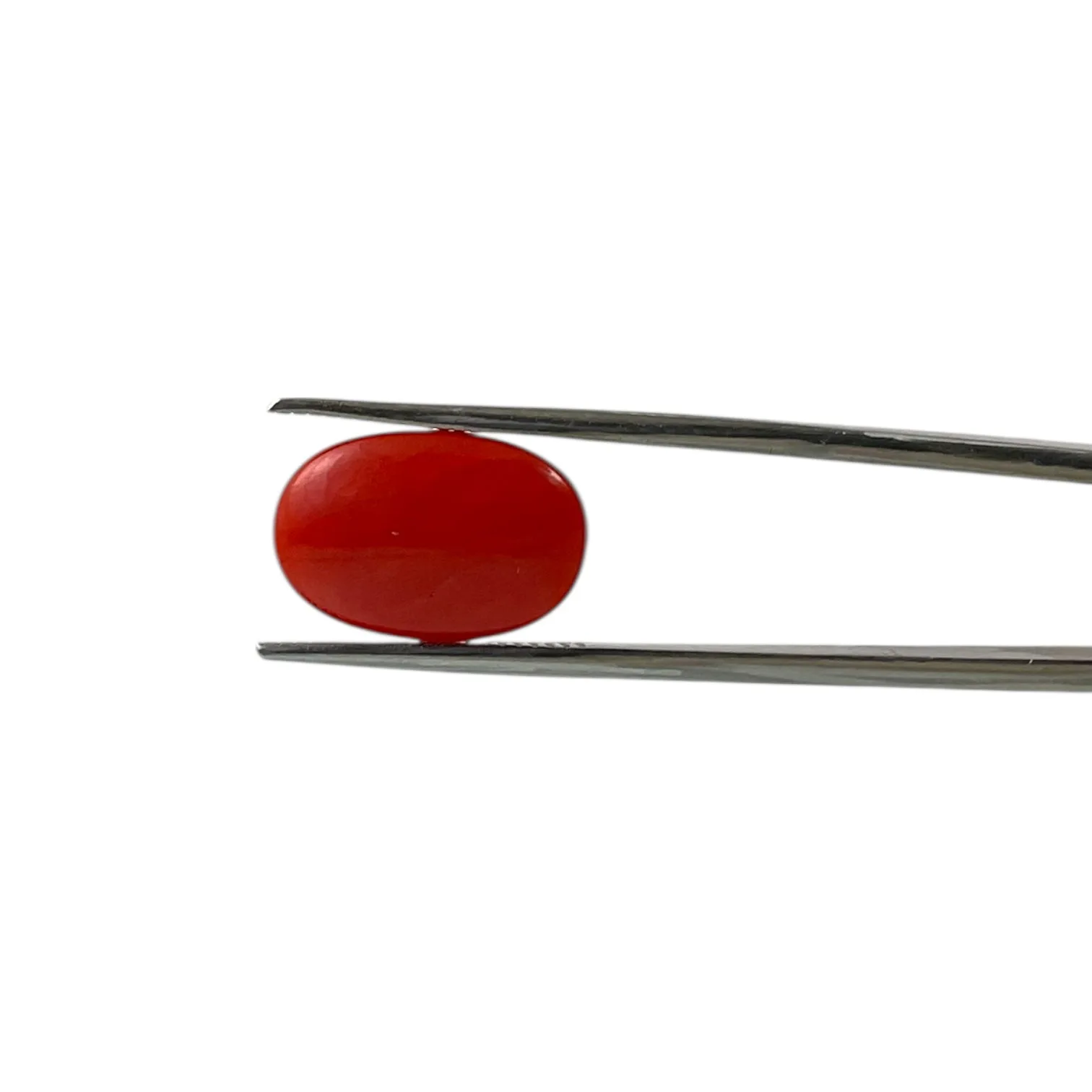 Red Coral (Japanese) - 4.6 Carat