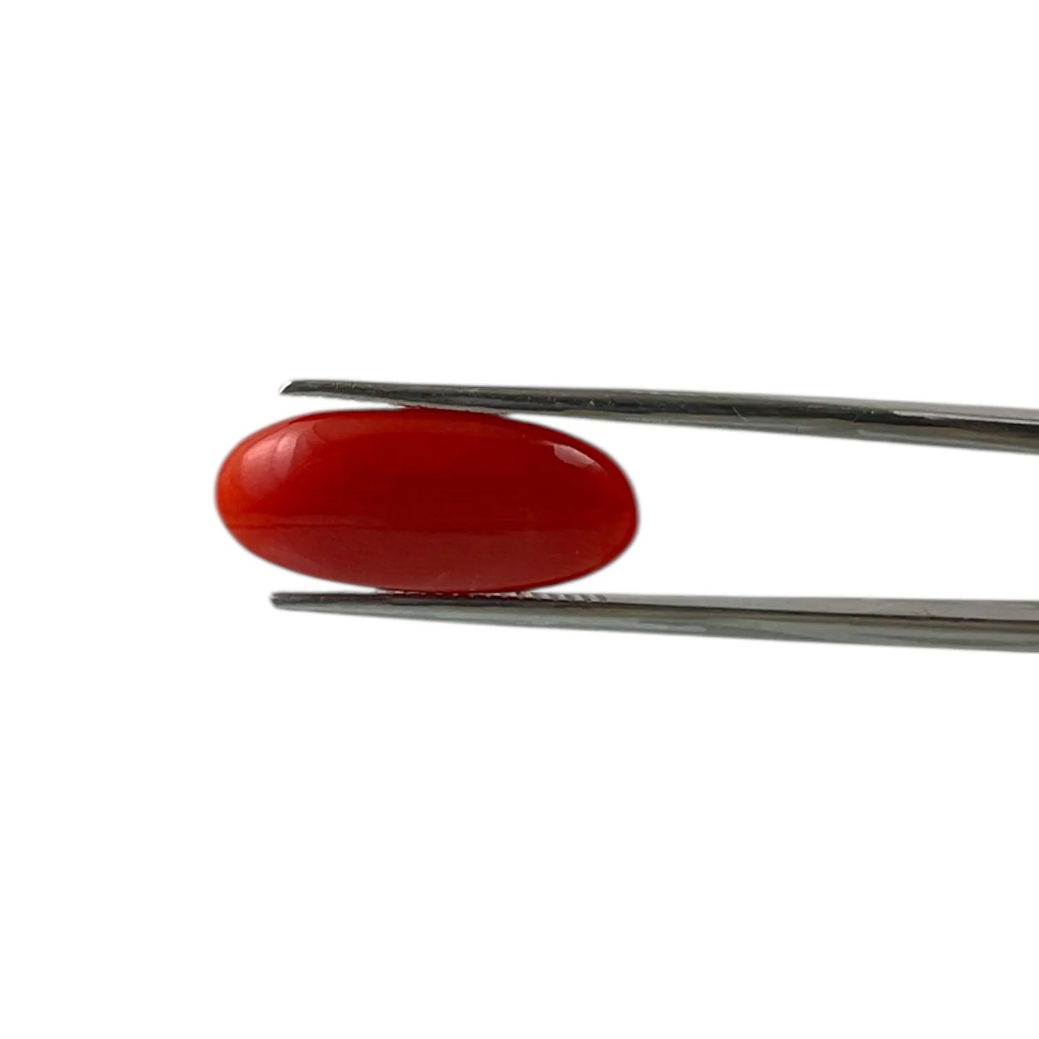 Red Coral (Japanese) - 5.6 Carat