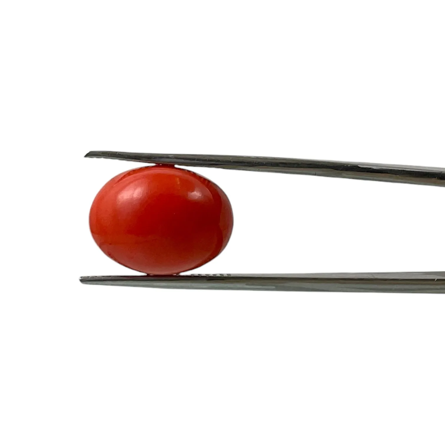 Red Coral (Japanese) - 9.7 Carat