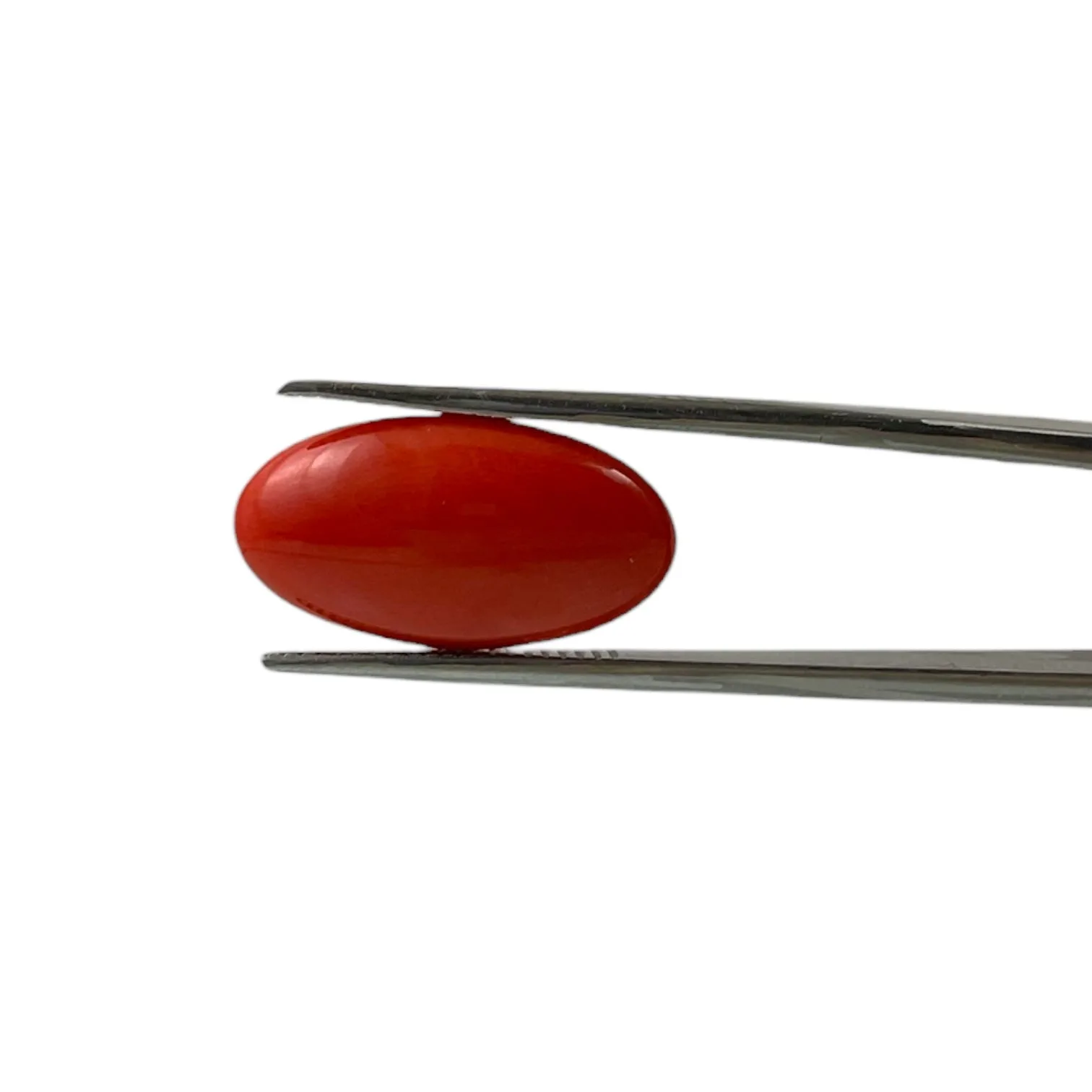Red Coral (Japanese) - 7.4 Carat