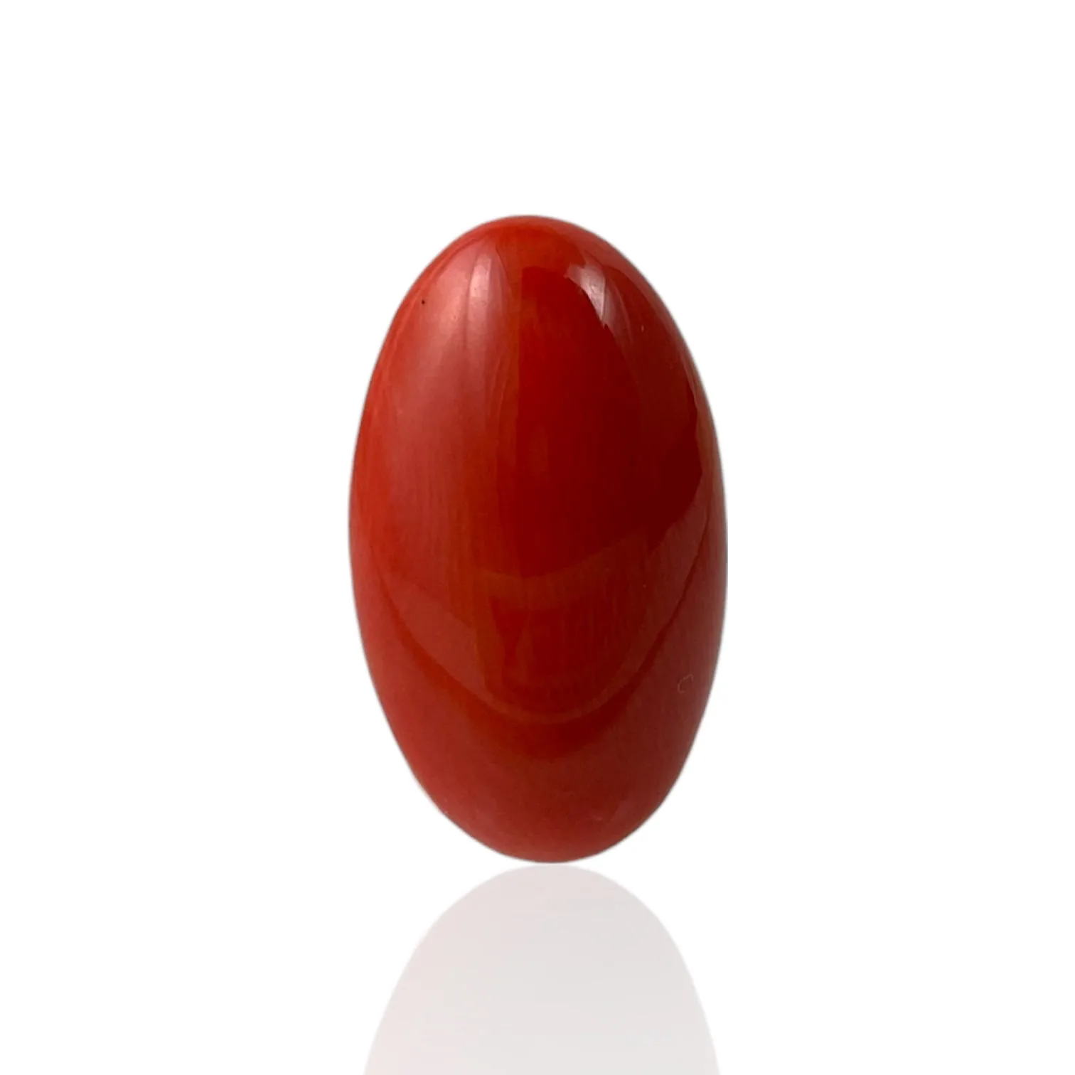 Red Coral (Japanese) - 8.1 Carat
