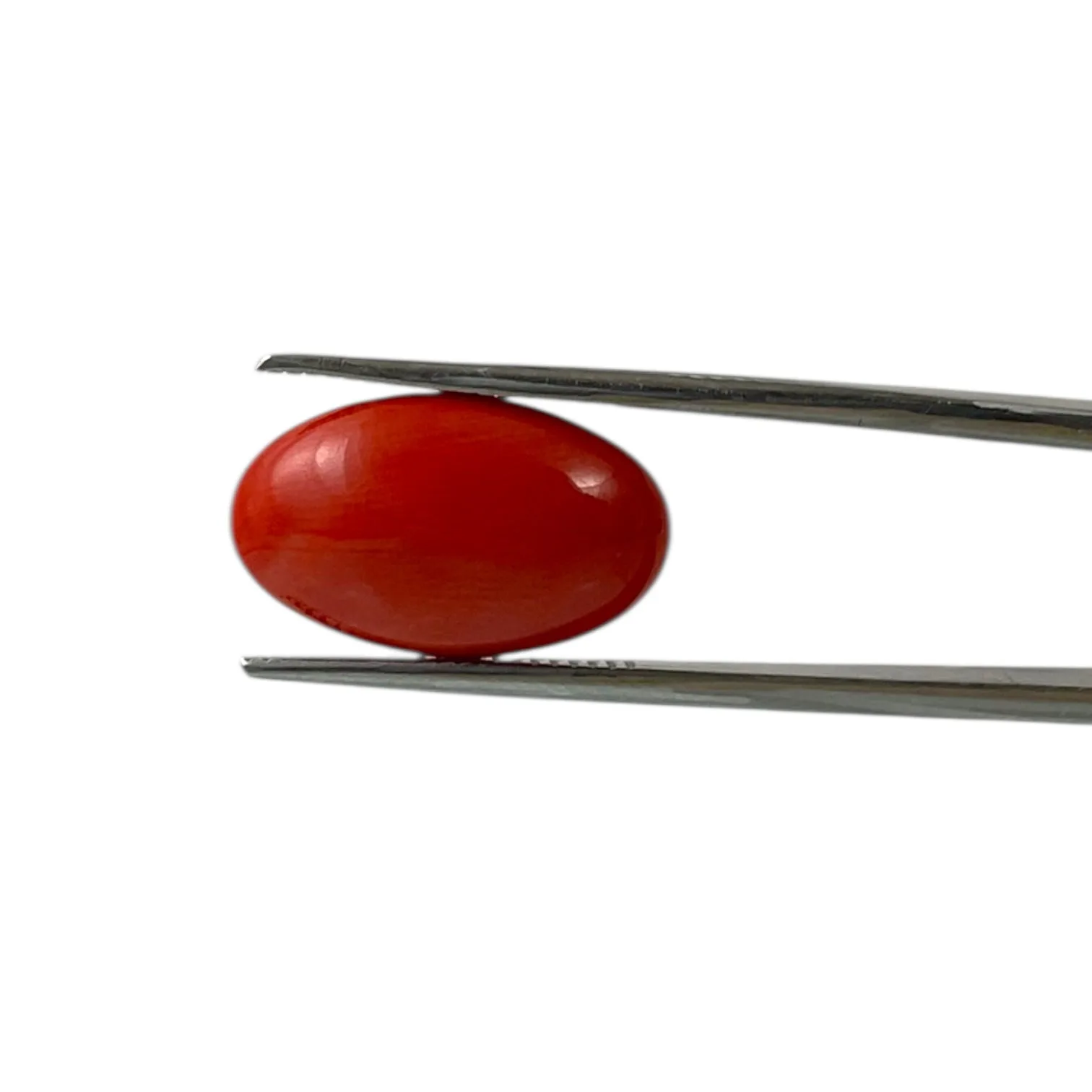 Red Coral (Japanese) - 8.1 Carat