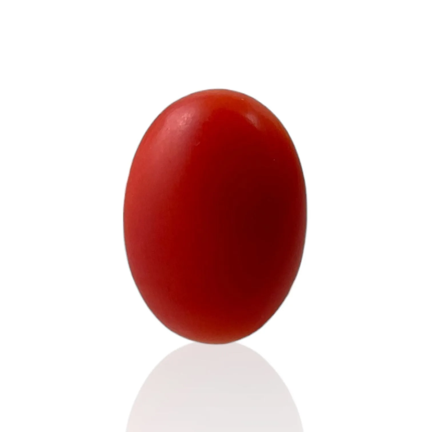 Red Coral (Japanese) - 4.6 Carat
