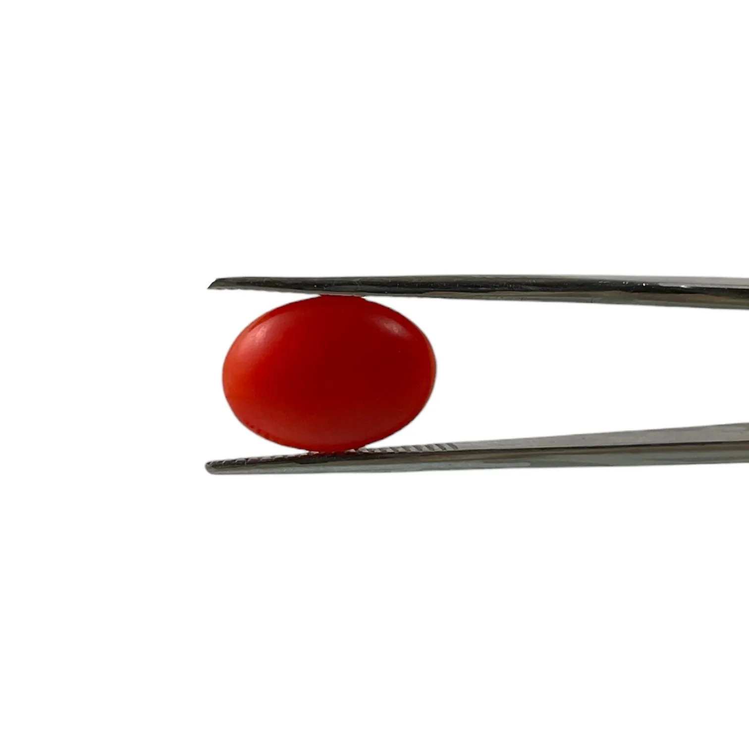 Red Coral (Japanese) - 4.6 Carat