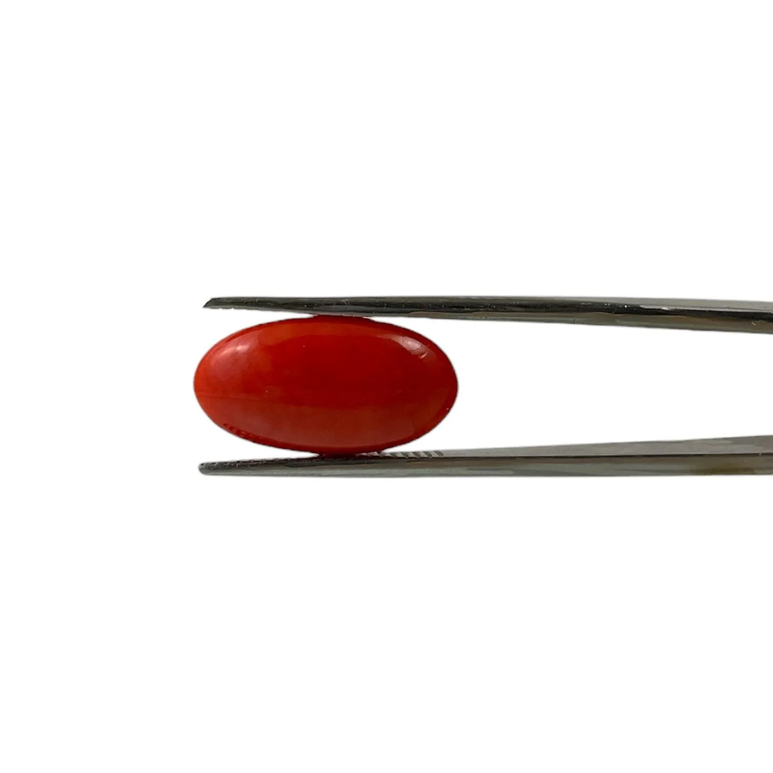 Red Coral (Japanese) - 5.1 Carat